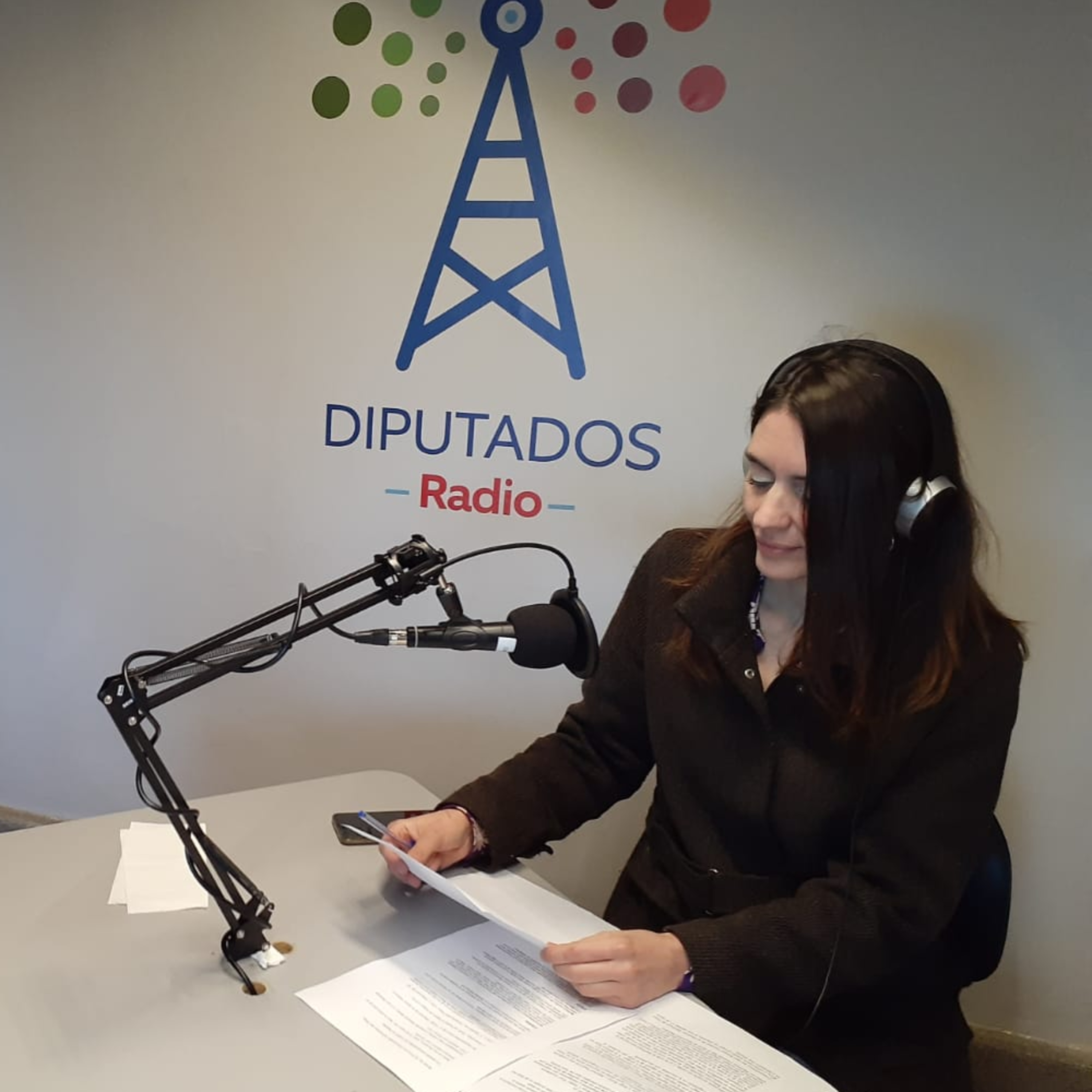 Portada de Radio Diputados
