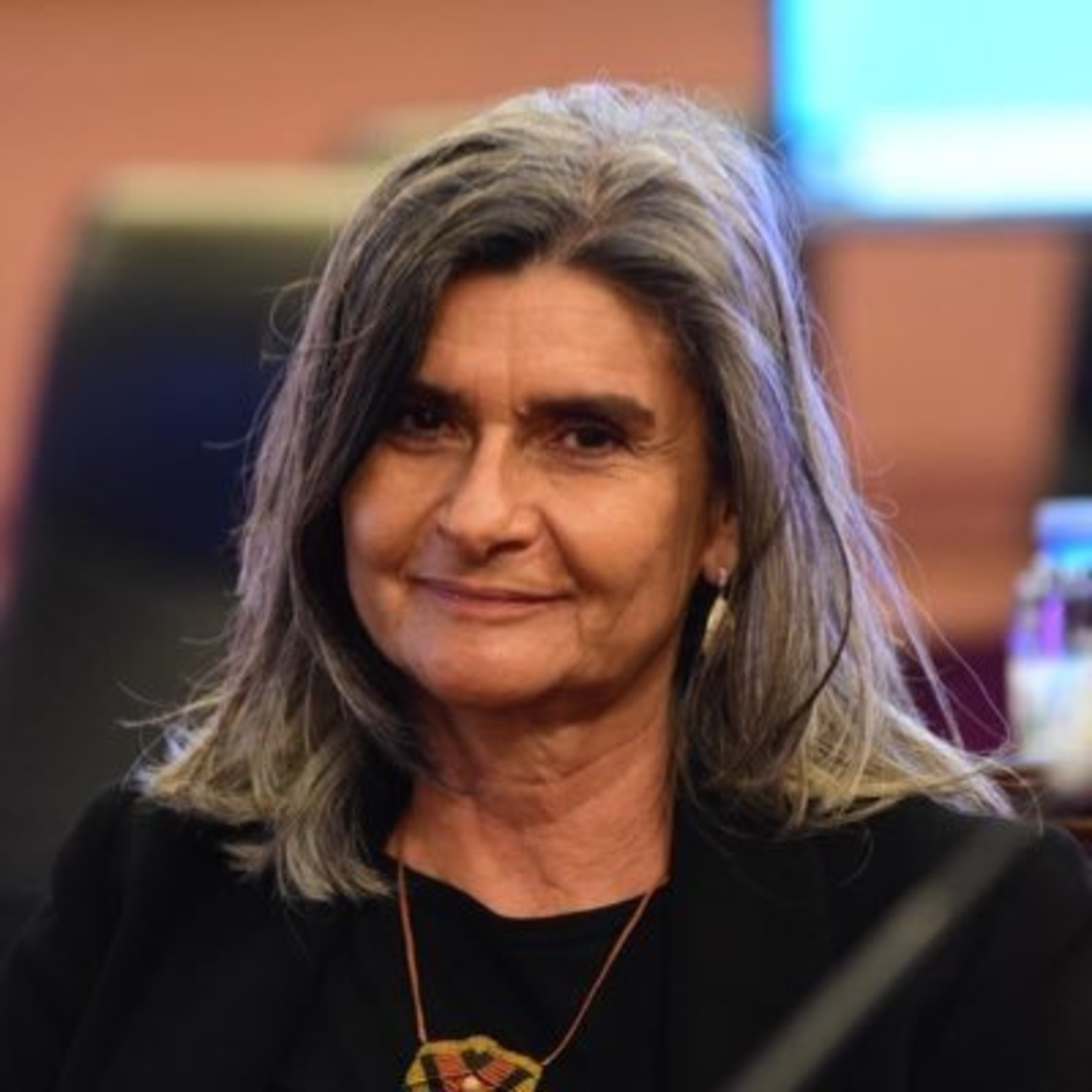 Portada de Radio Diputados