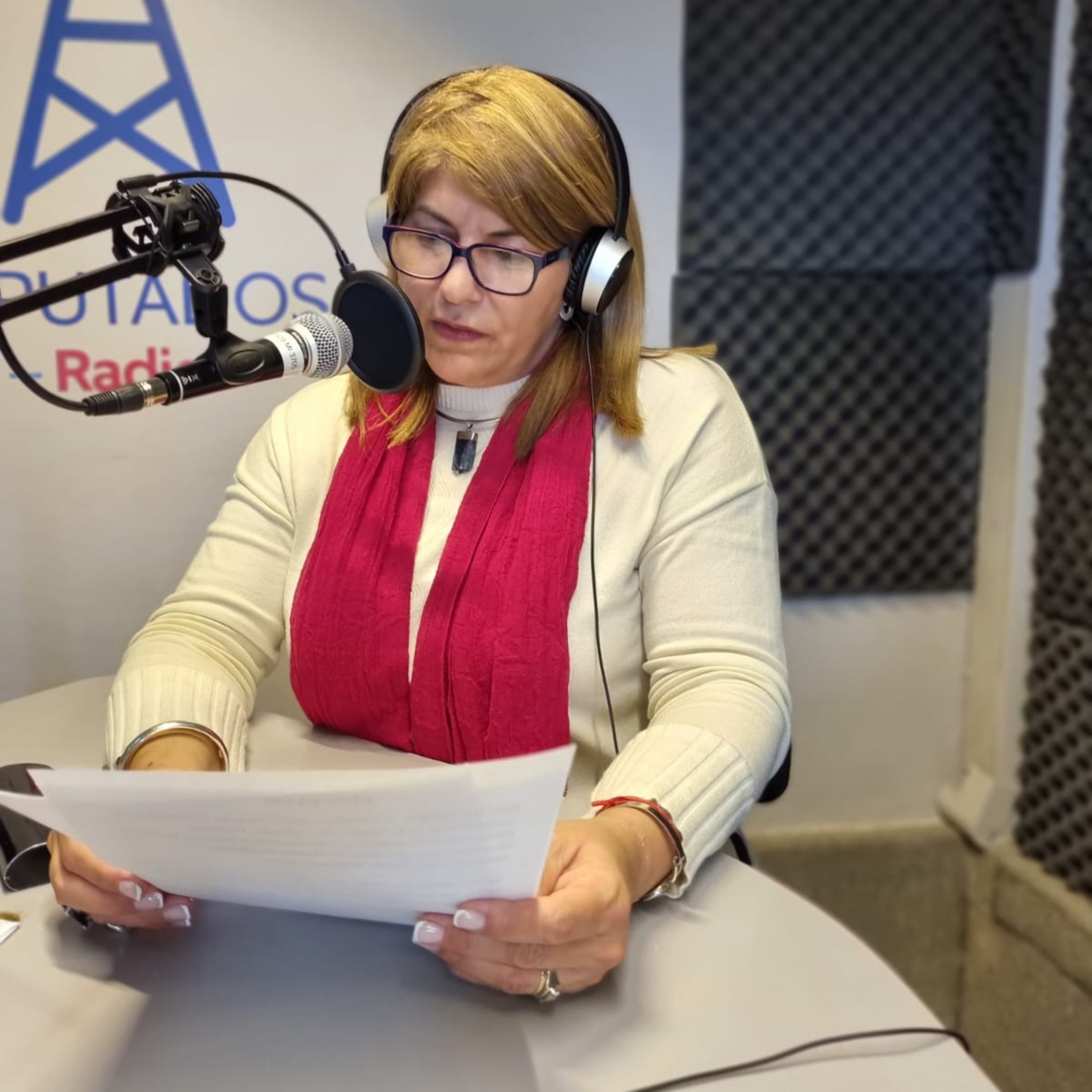 Portada de Radio Diputados