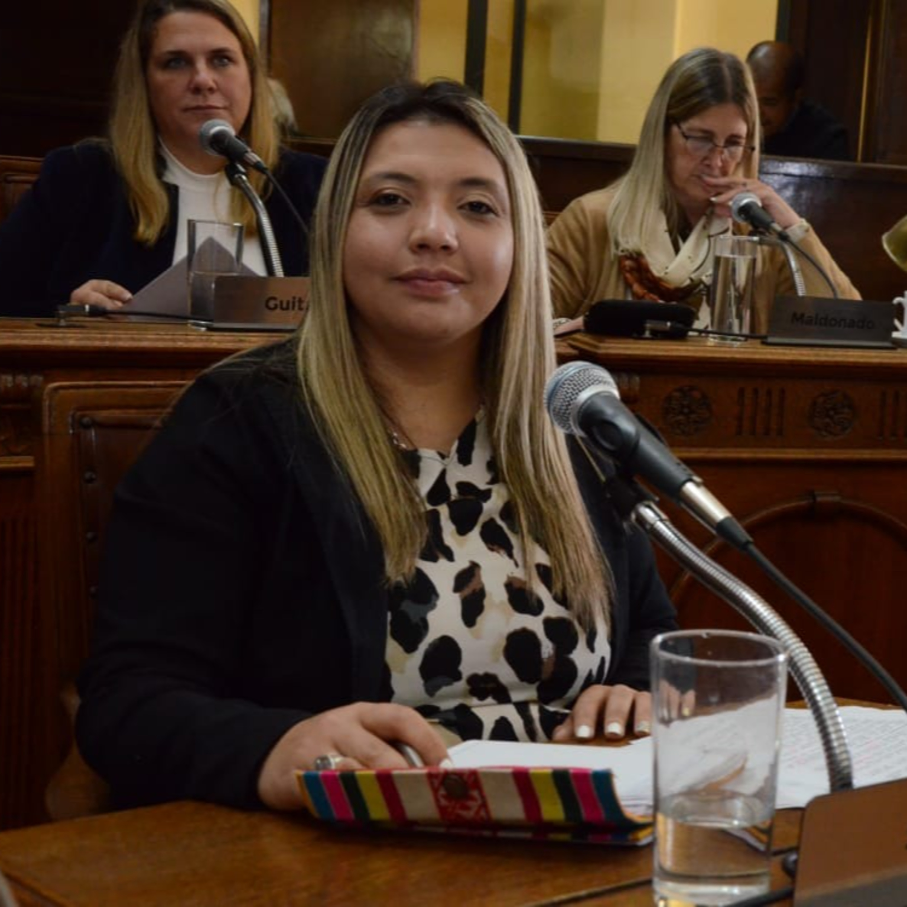 Portada de Radio Diputados