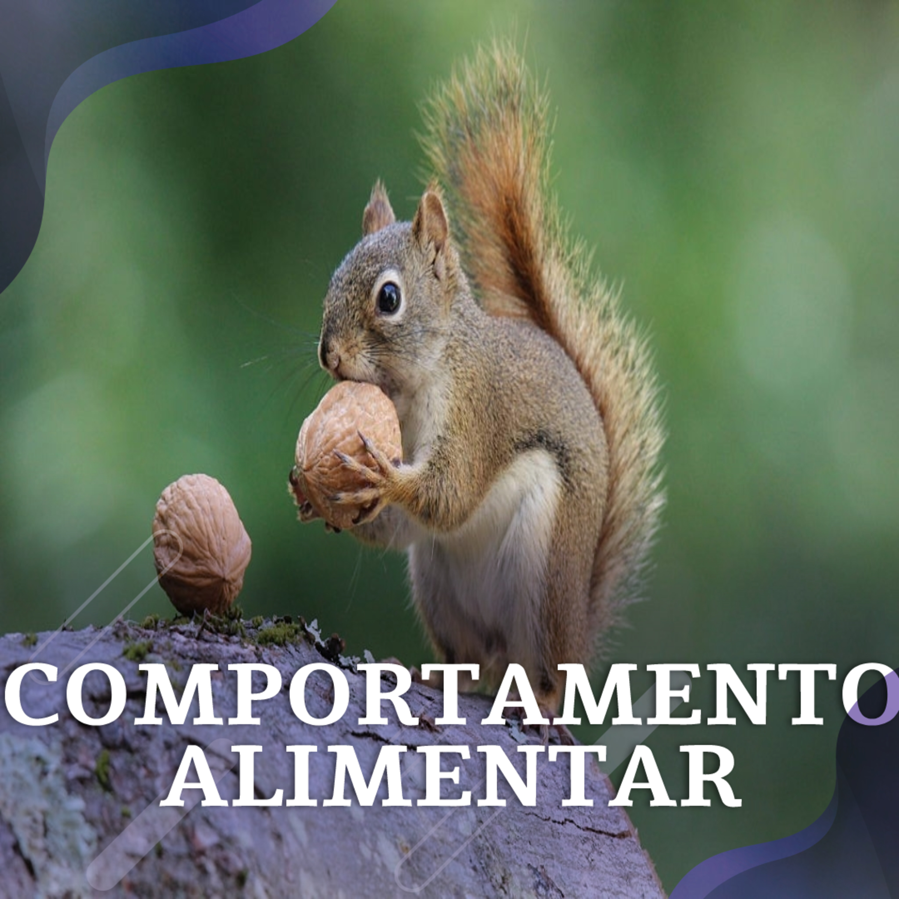 Comportamento Alimentar com Fívia de Araújo Lopes