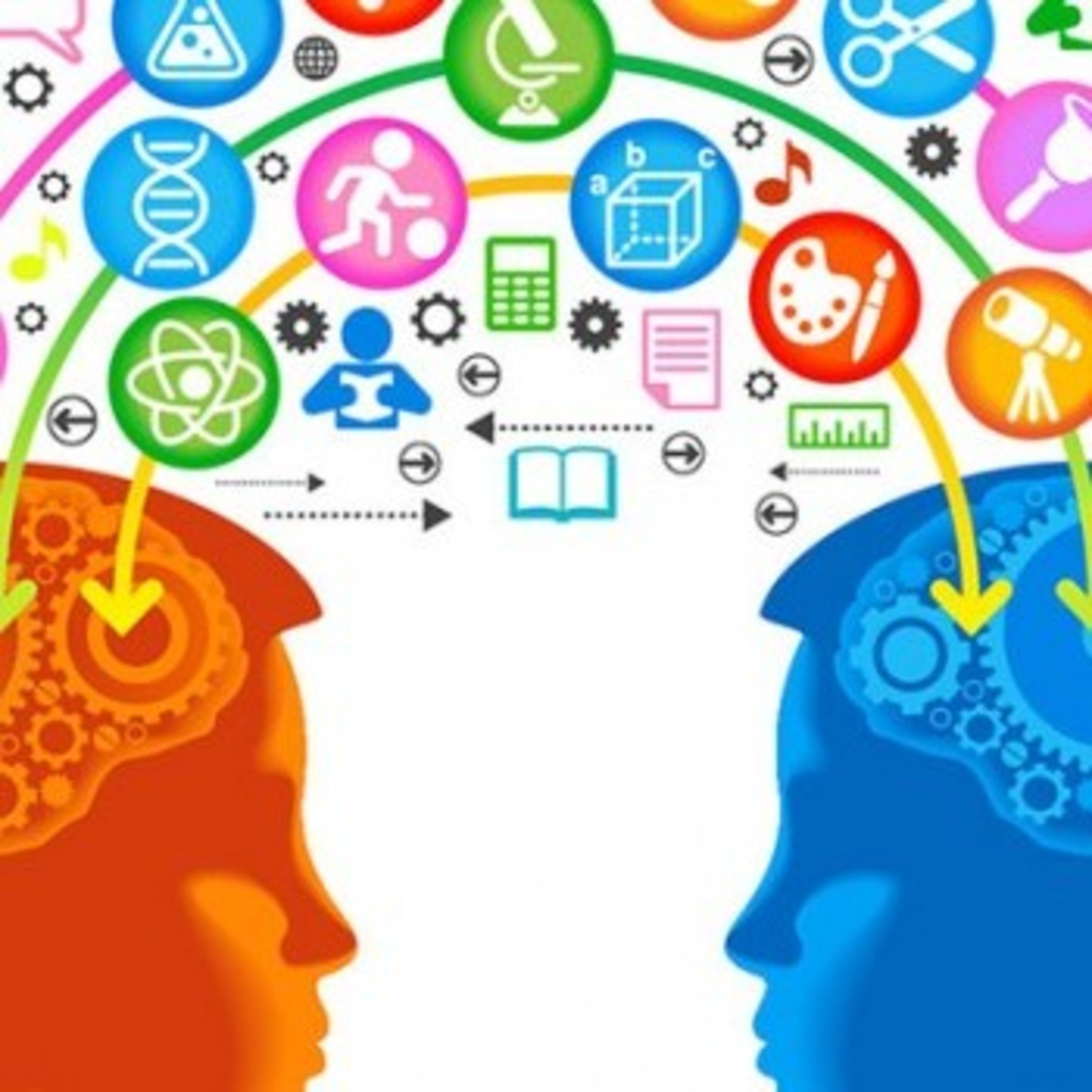 Neurofisiología Del Aprendizaje Y Cómo Ocurre El Aprendizaje.