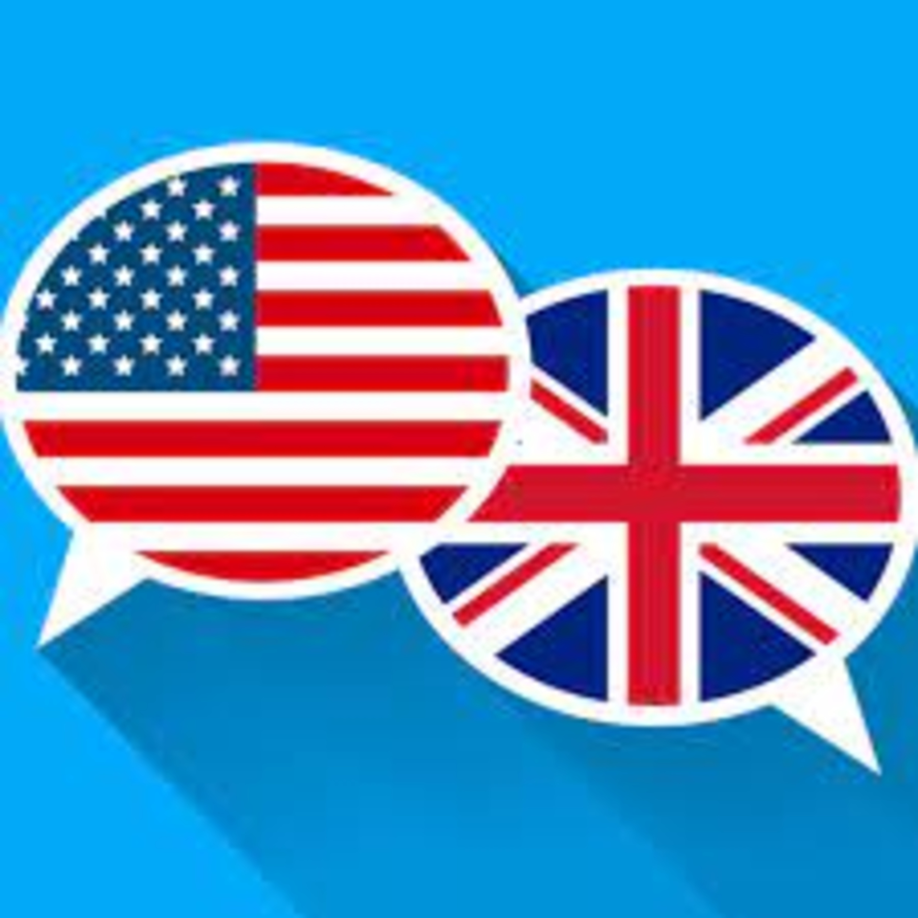 Answer to the following questions