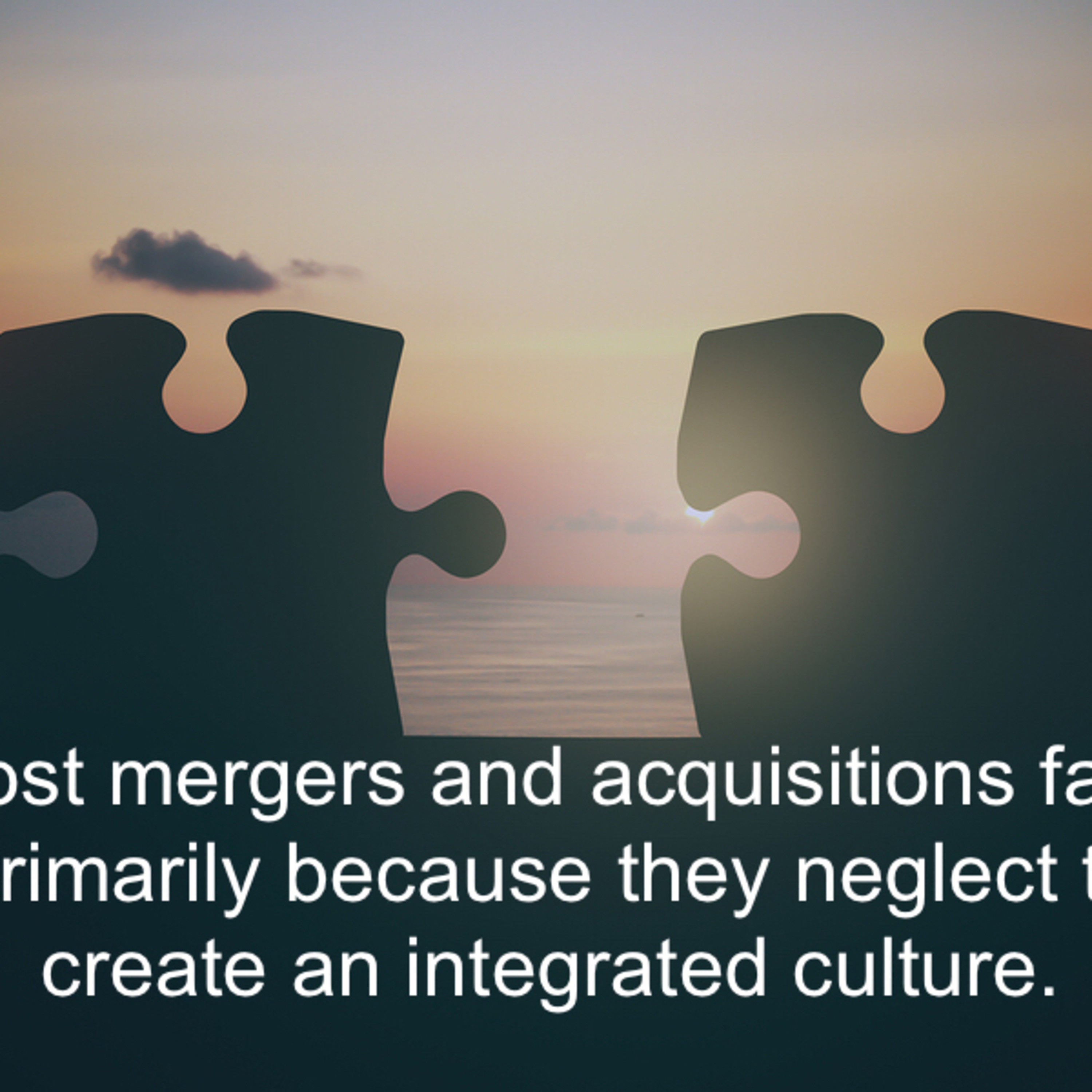 Maximize Synergy with Culture