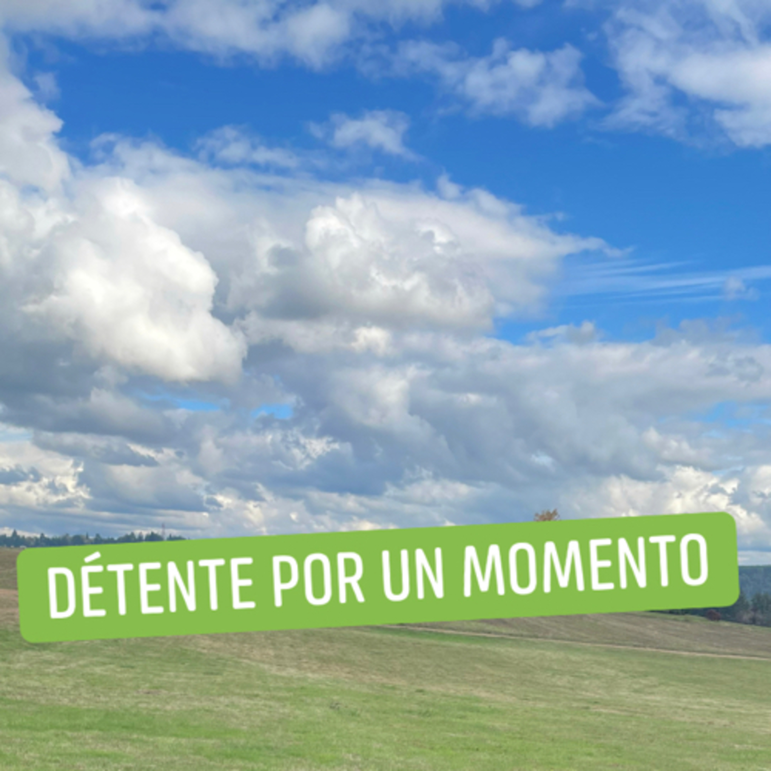 Palabras de vida