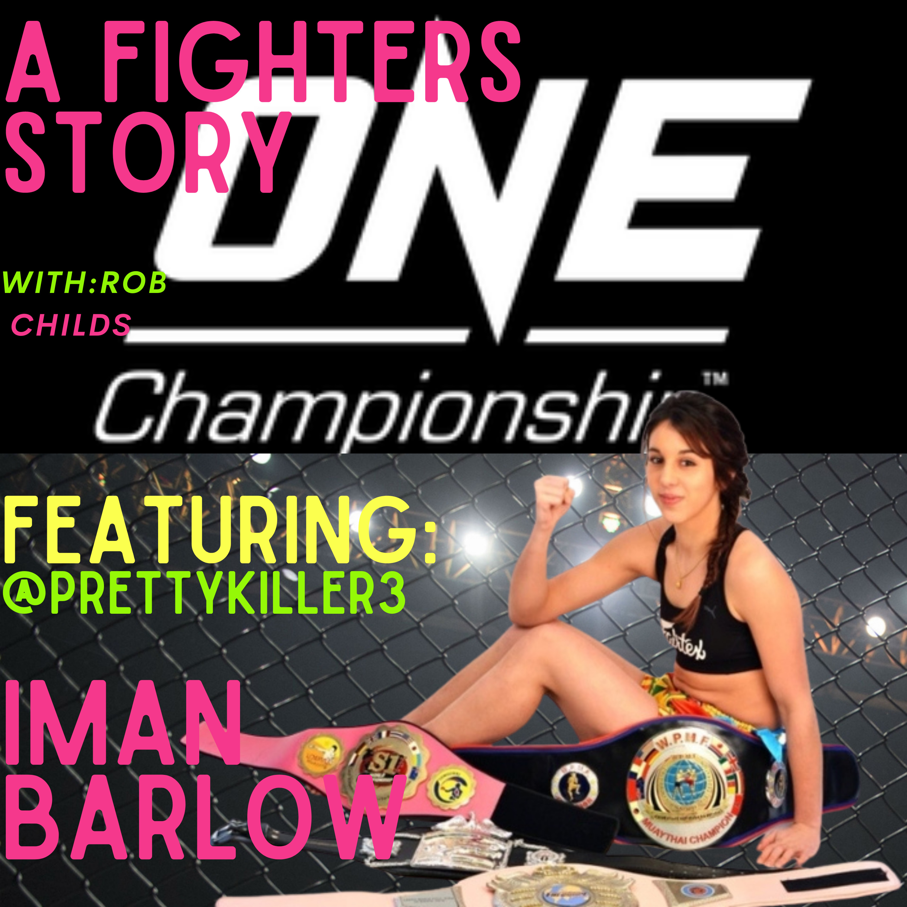 A Fighter\'s Story