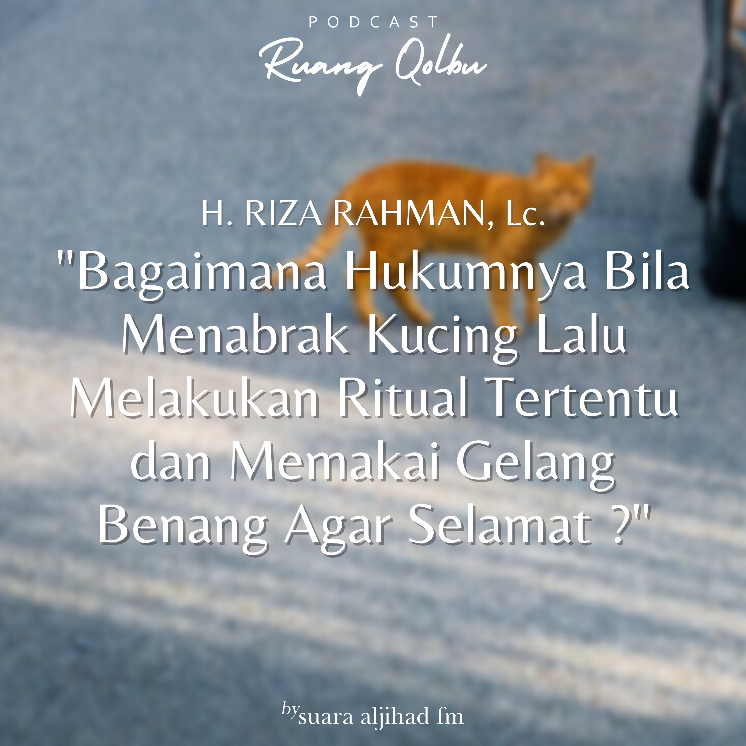 Bagaimana Hukumnya Bila Menabrak Kucing Lalu Melakukan Ritual Tertentu dan Memakai Gelang Benang ?