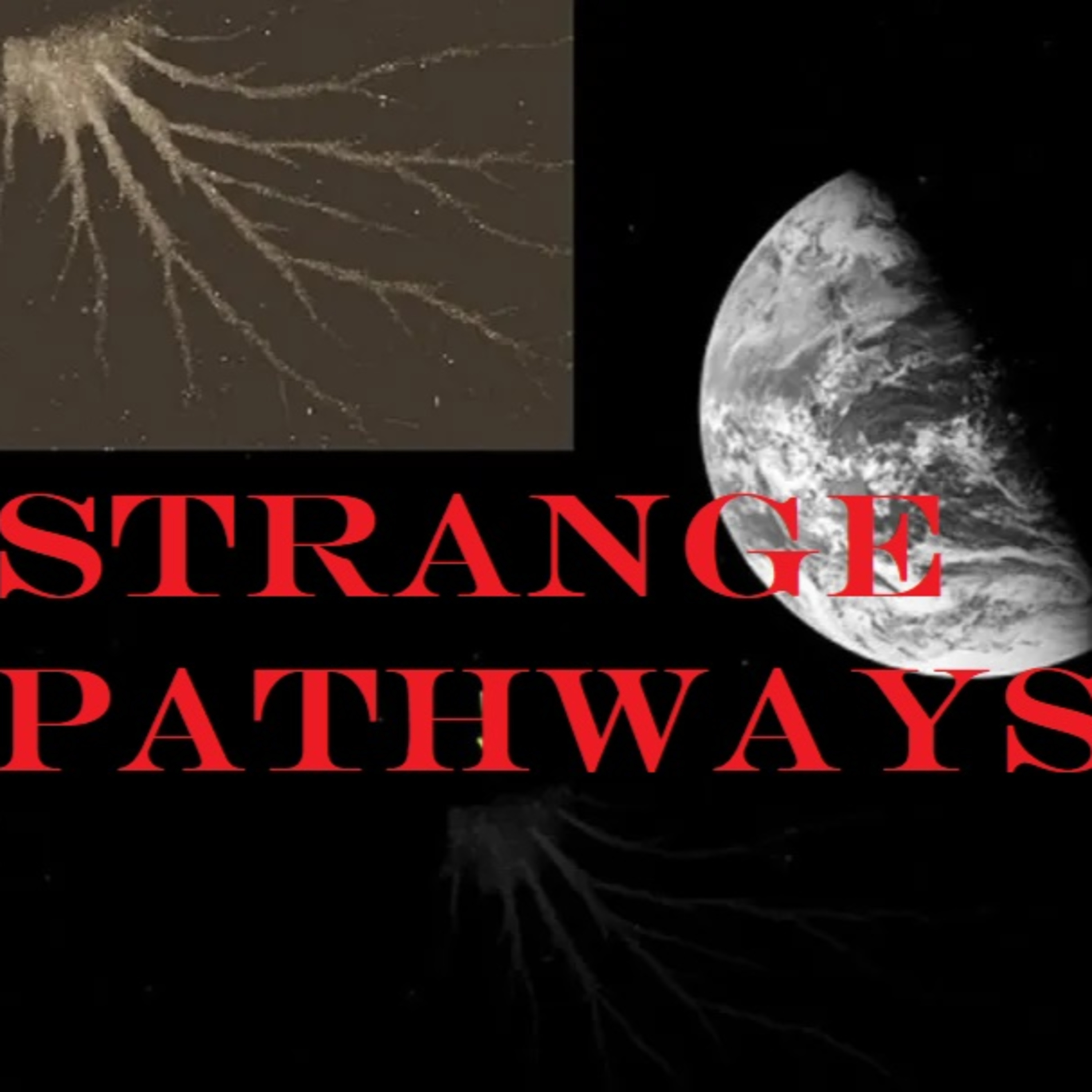 STRANGE PATHWAYS Wizard Clip, Space Squids, and The Black Volga episode artwork