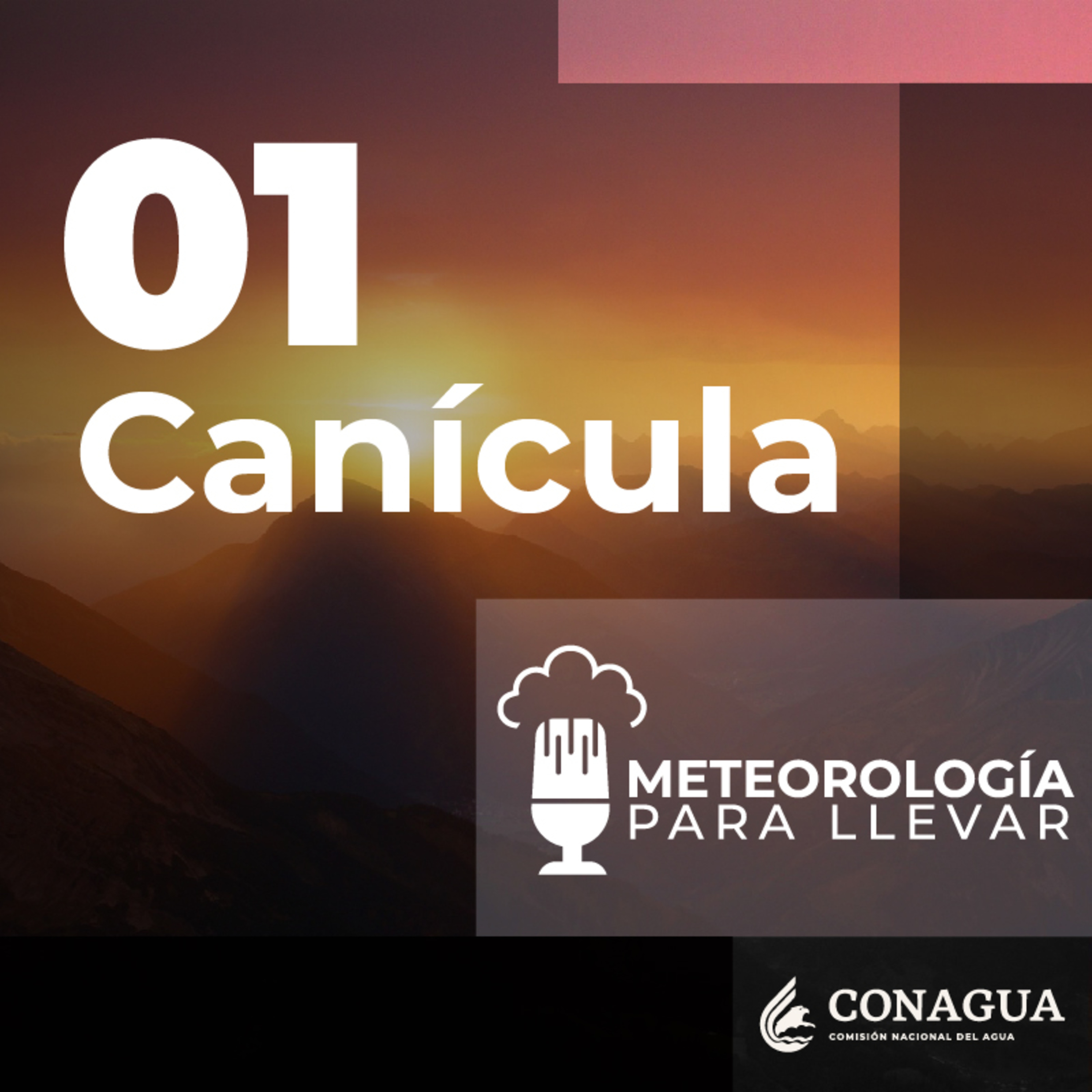 Meteorología para llevar