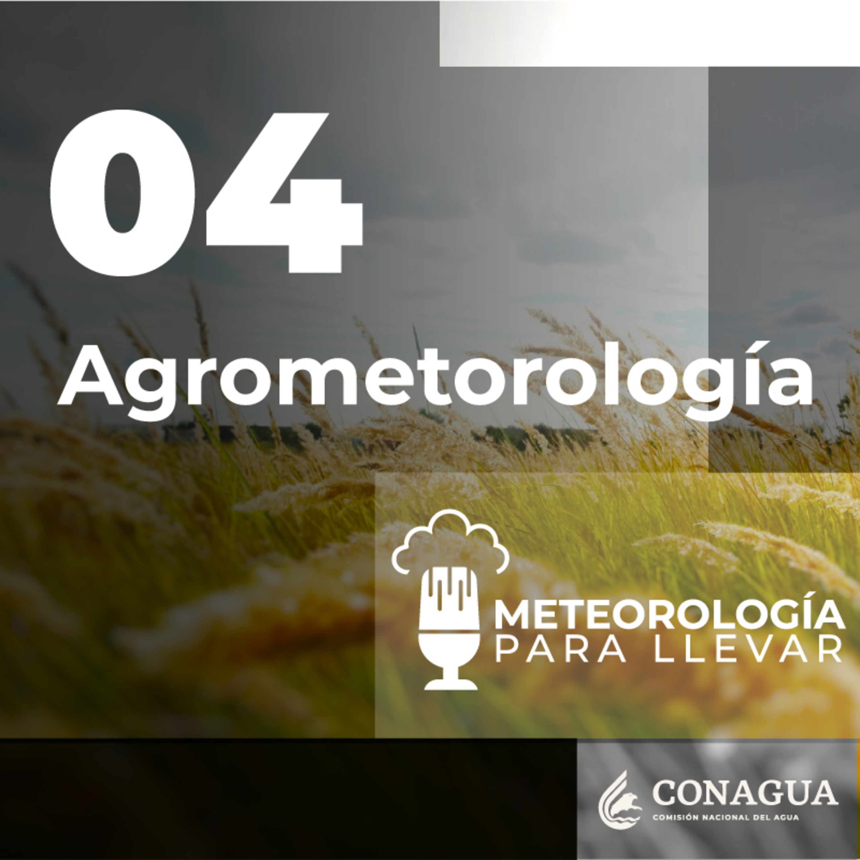 Meteorología para llevar