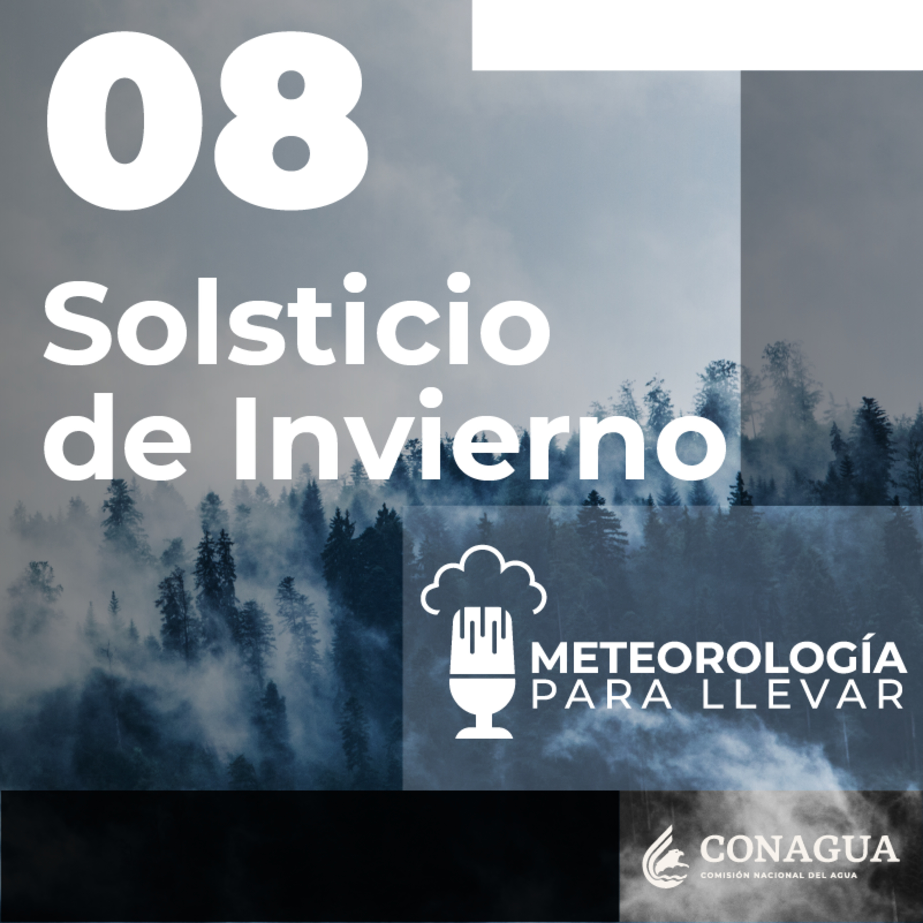 Meteorología para llevar
