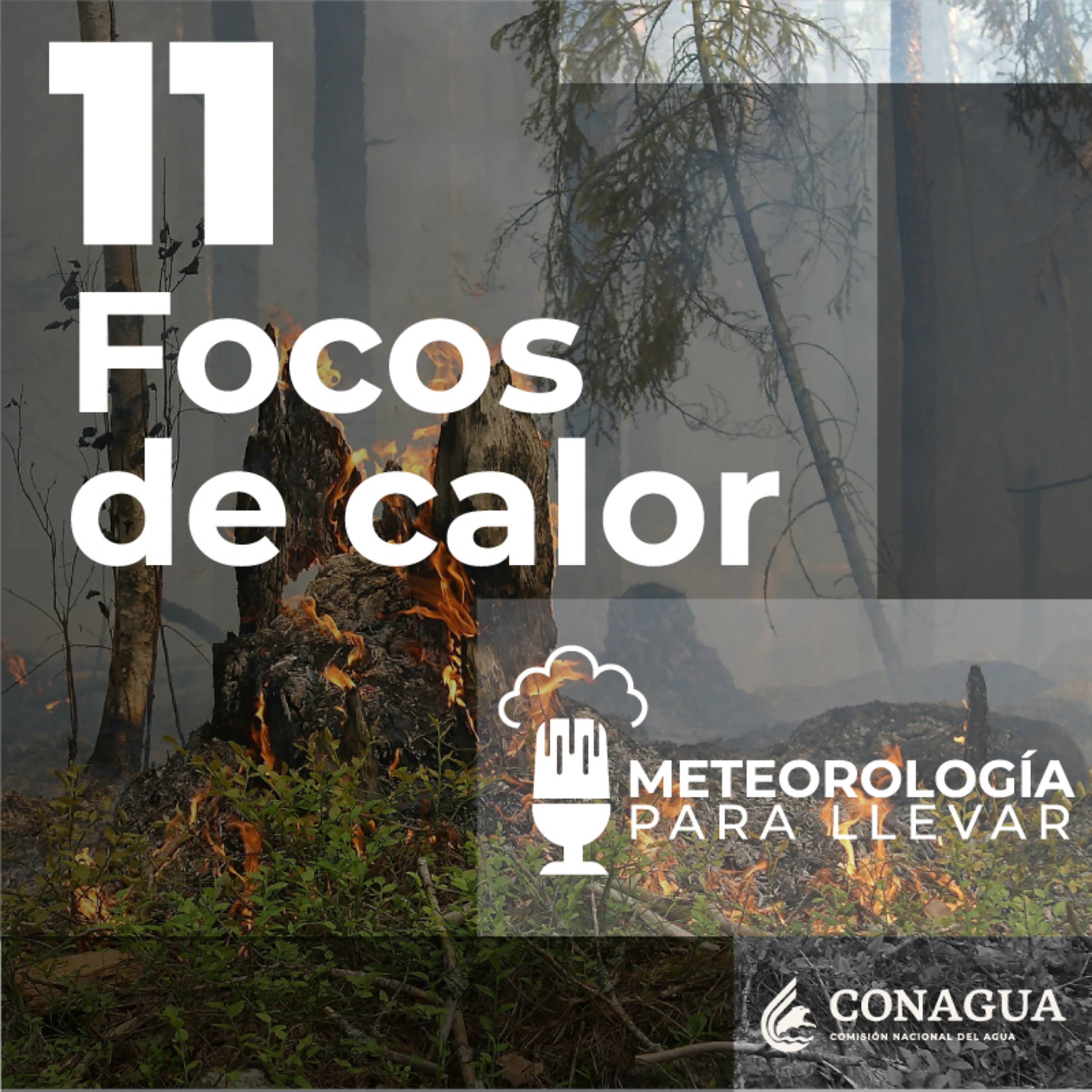 Meteorología para llevar