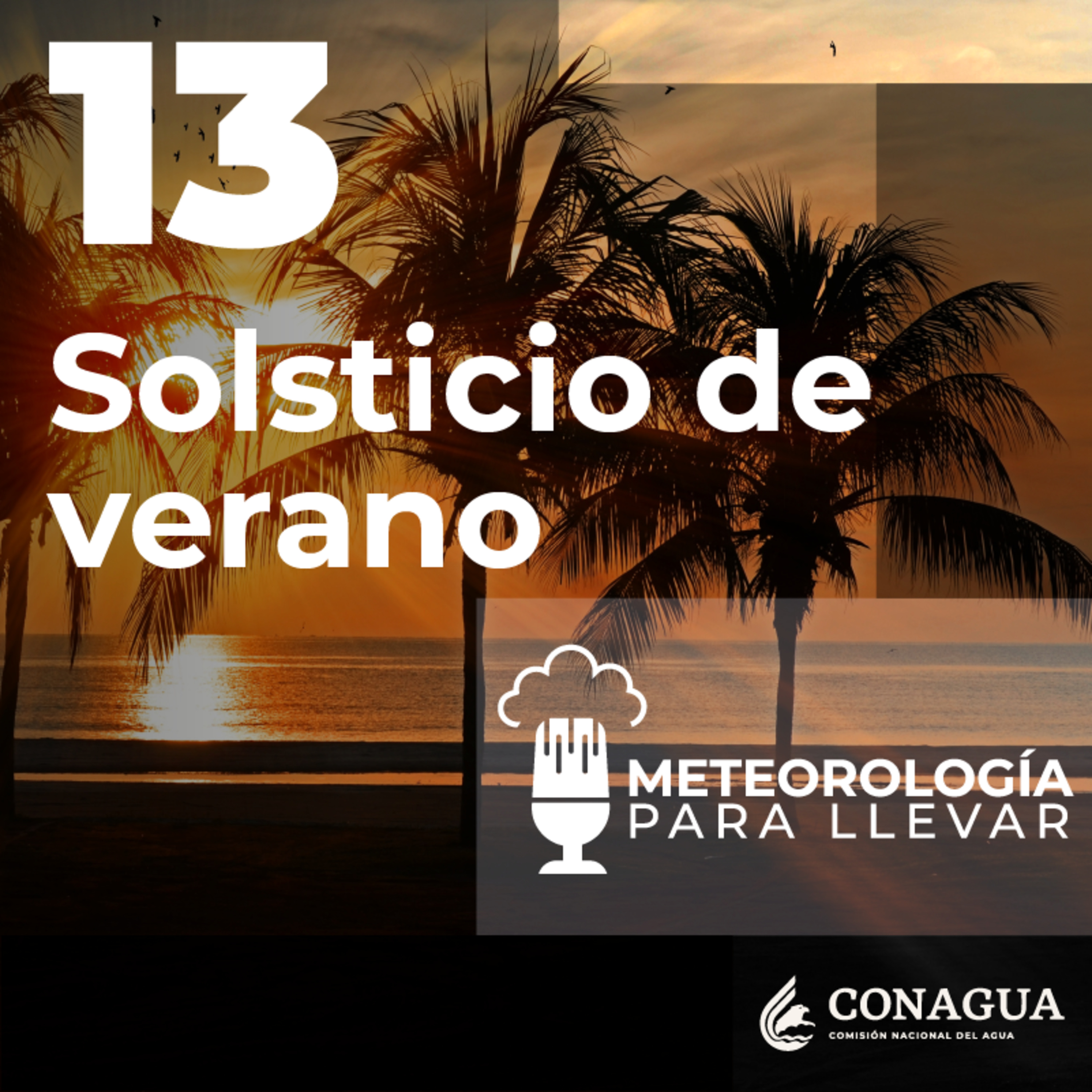 Meteorología para llevar