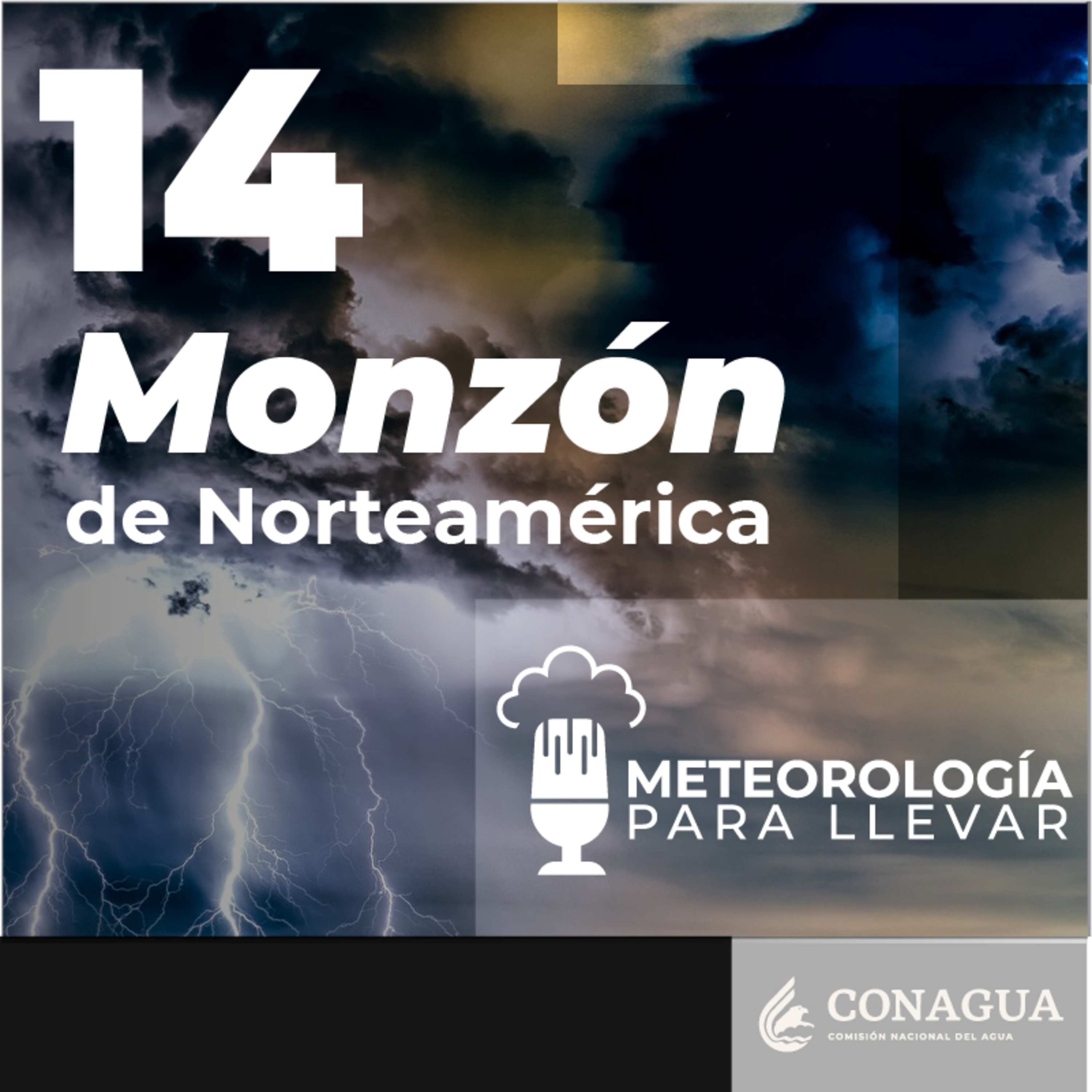 Meteorología para llevar