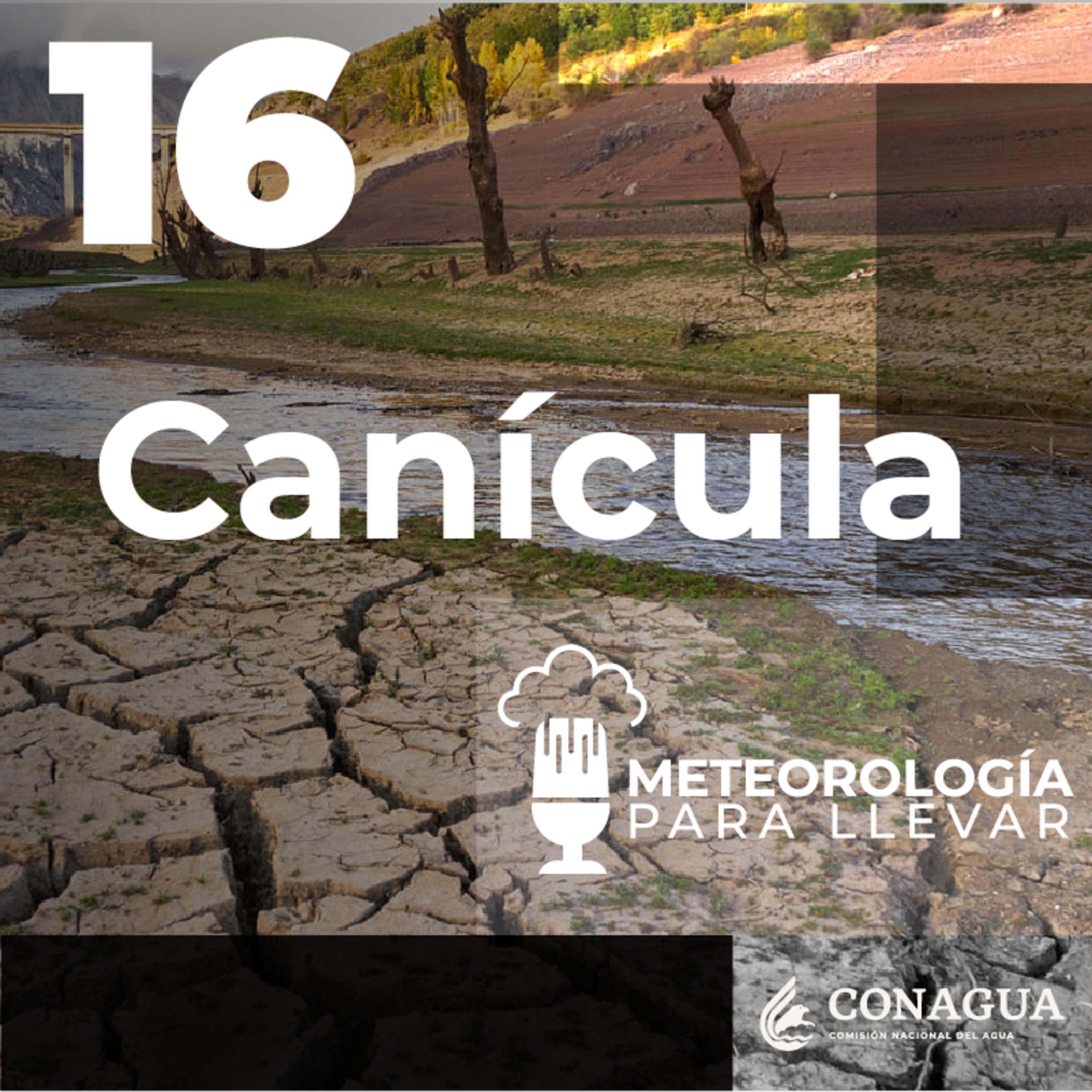 Meteorología para llevar