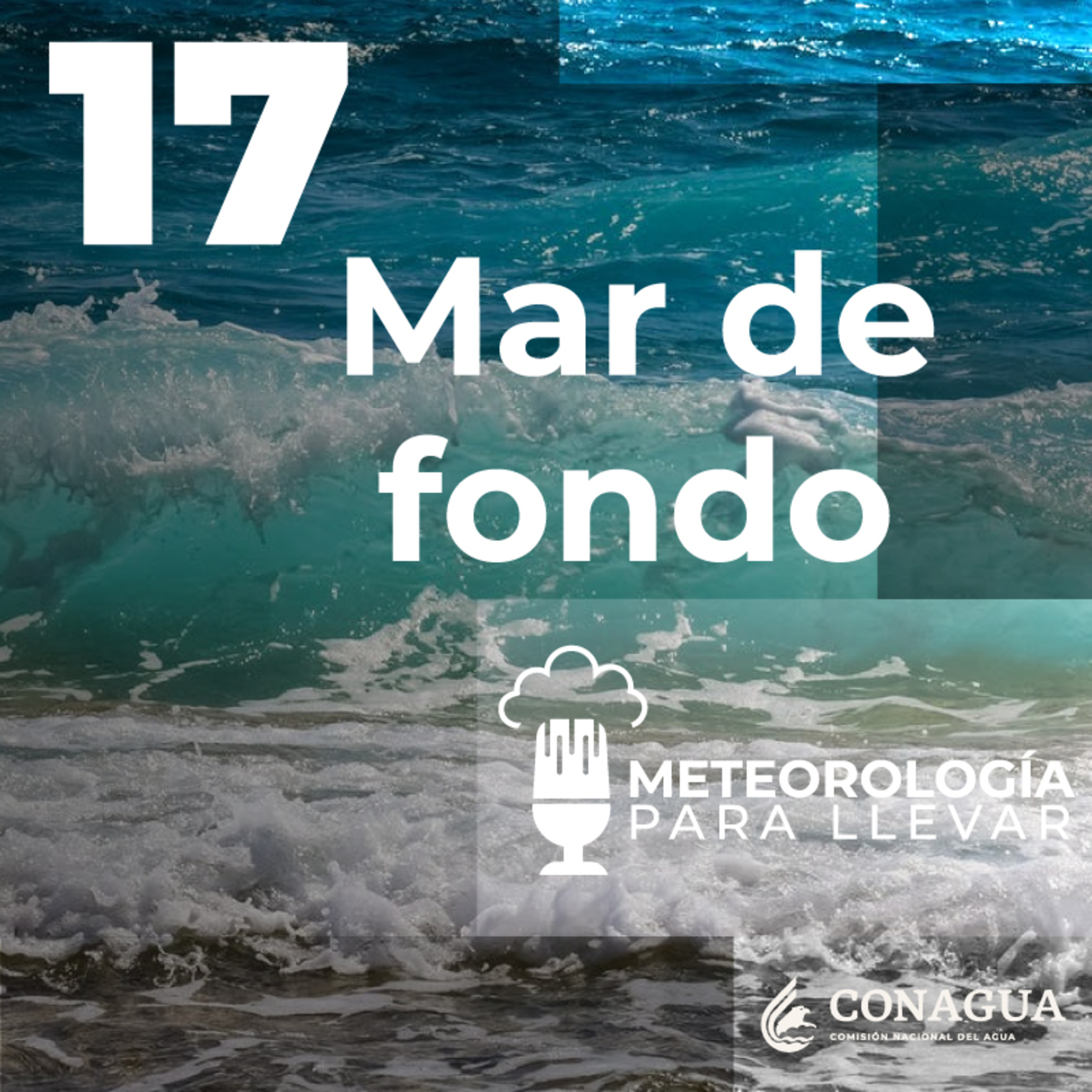 Meteorología para llevar