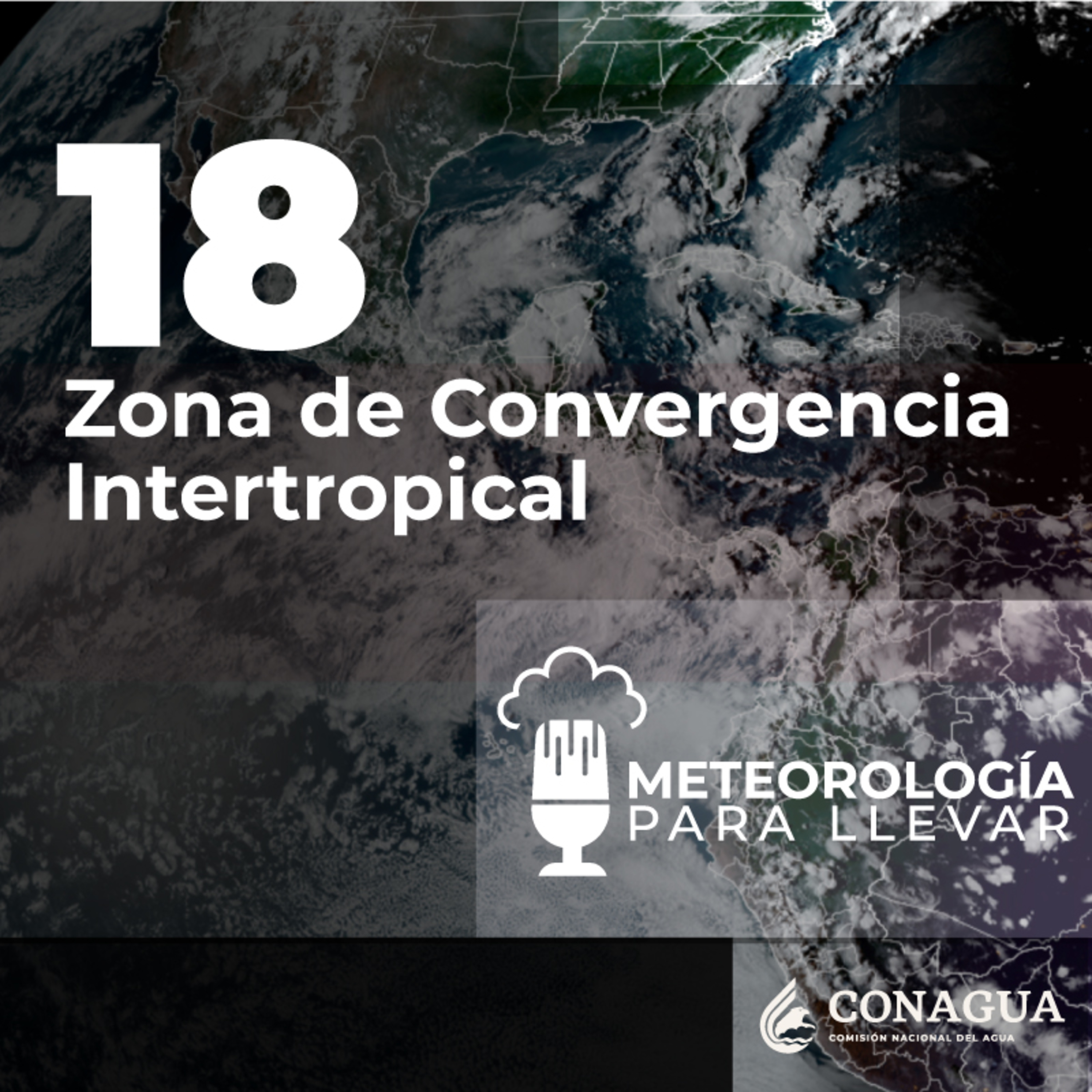 Meteorología para llevar