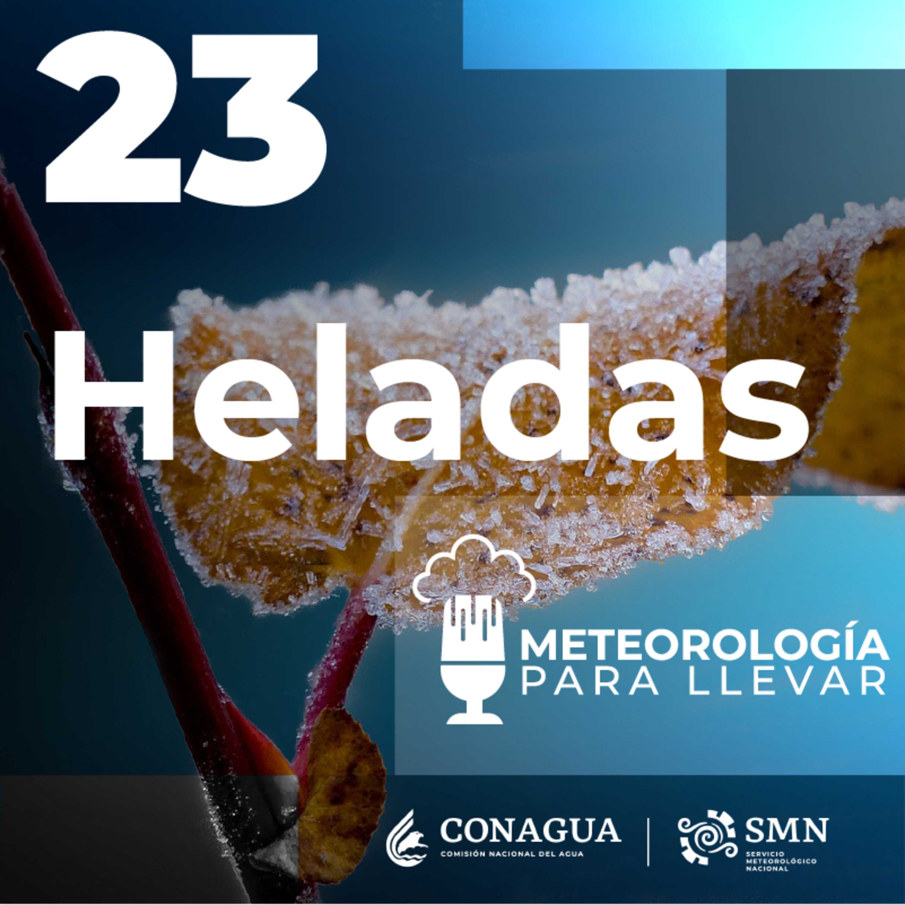 Meteorología para llevar