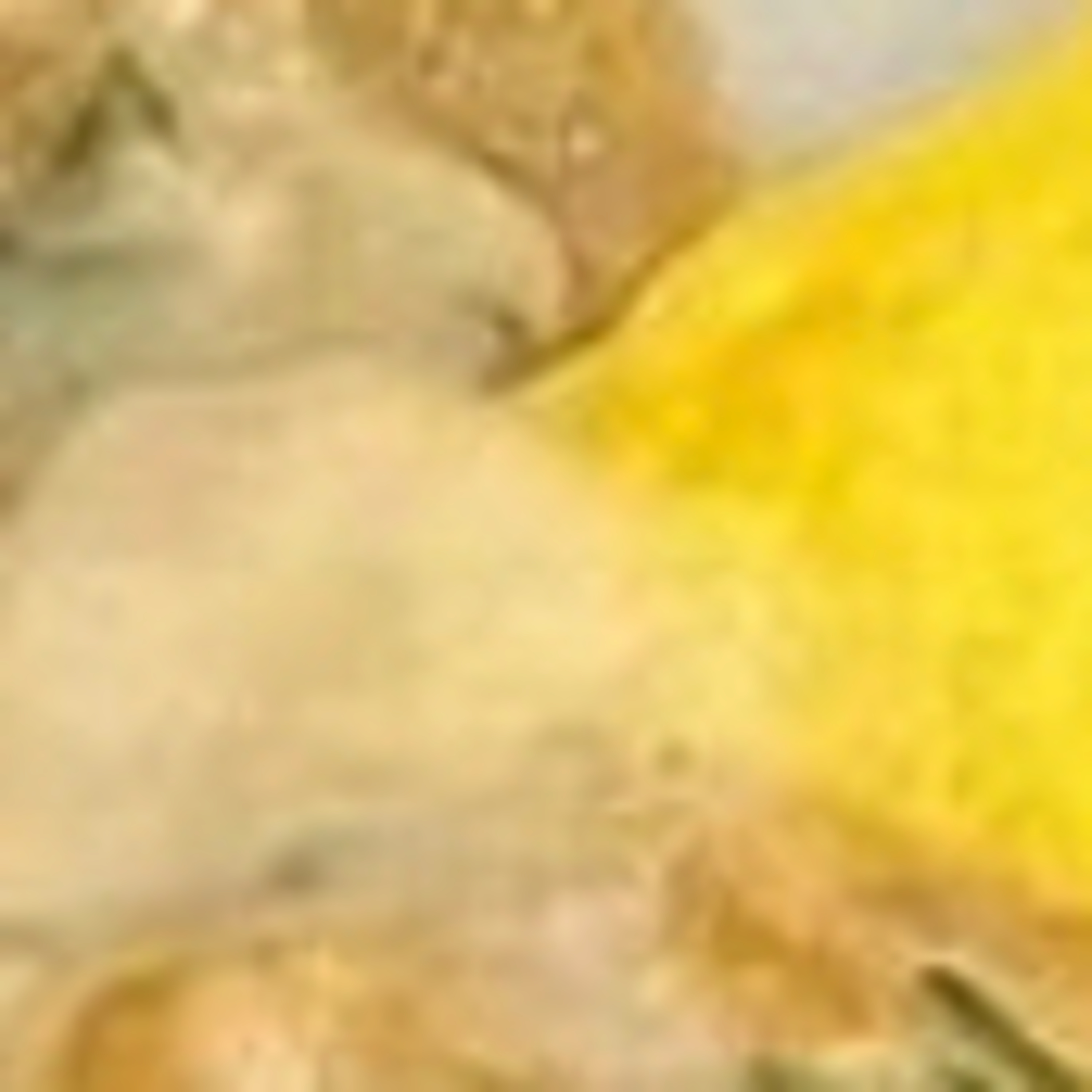 Last Donut of the Night