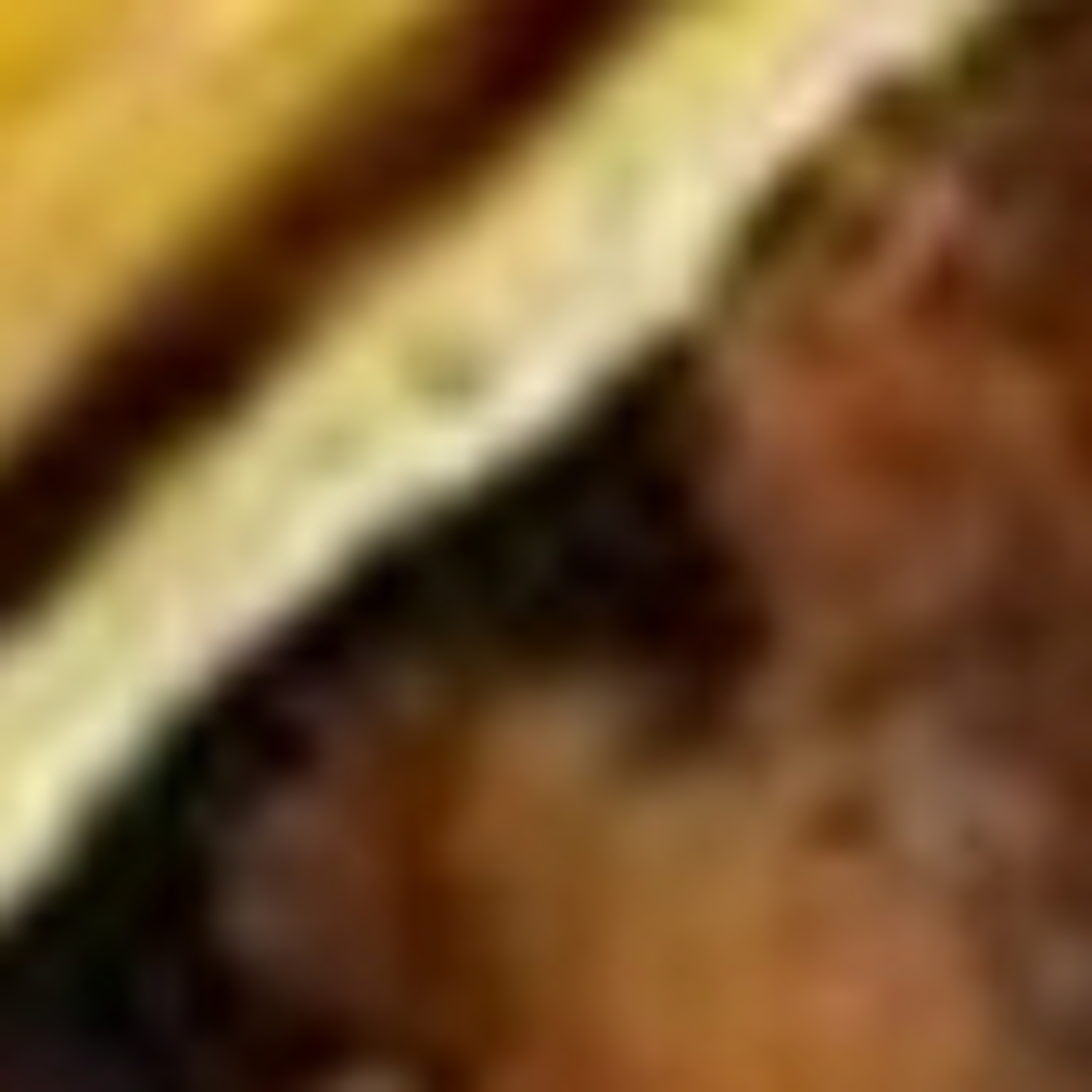 Last Donut of the Night