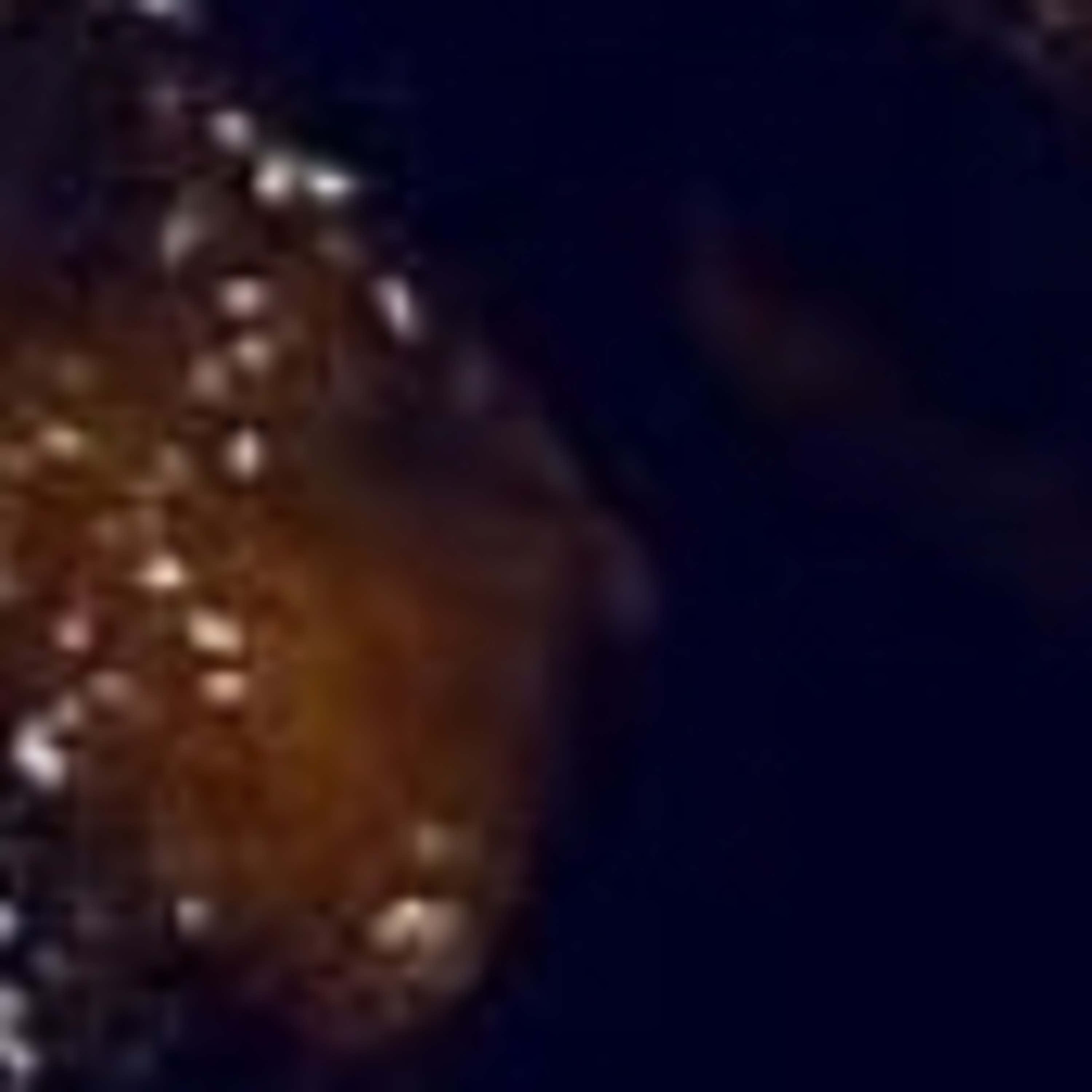 Last Donut of the Night