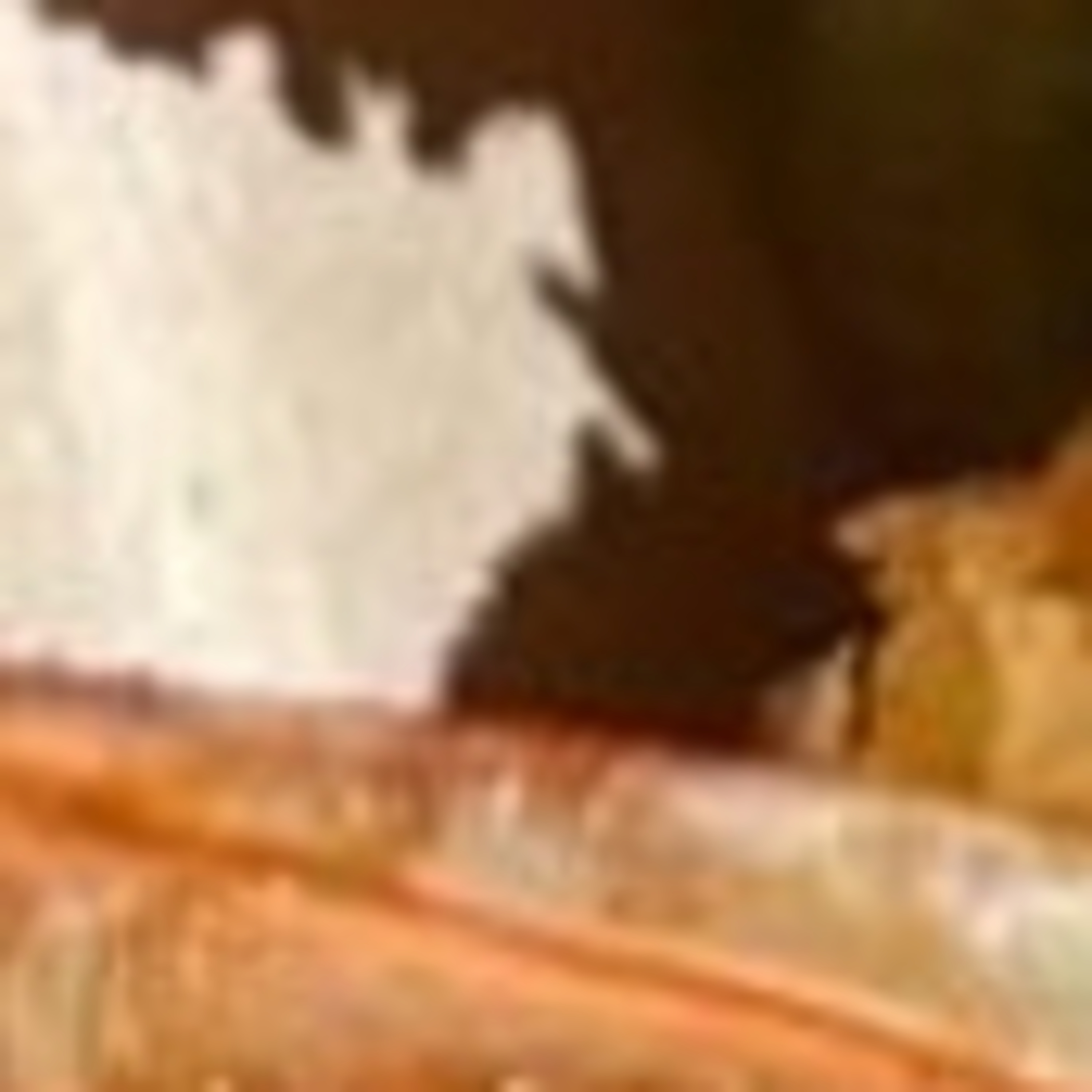 Last Donut of the Night