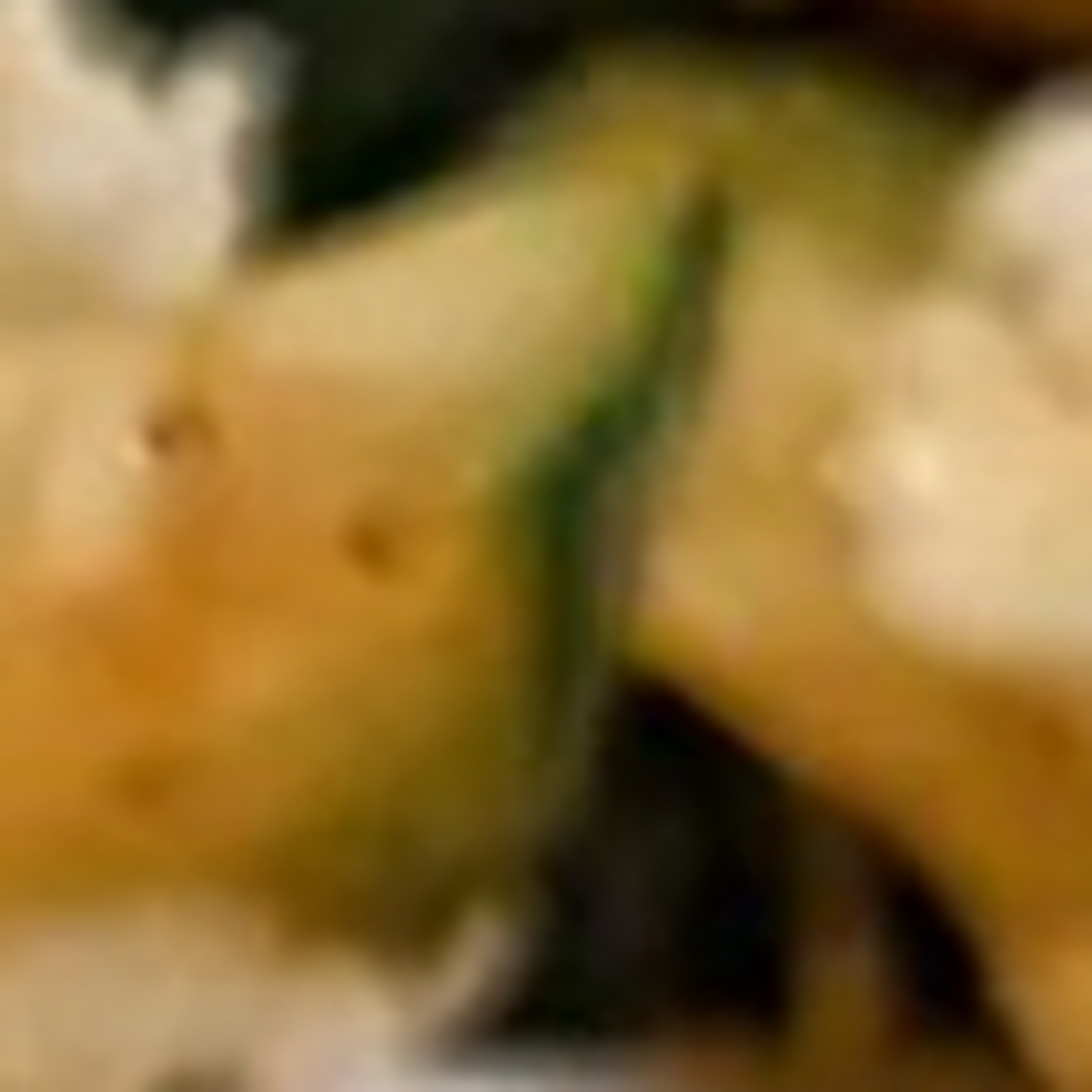 Last Donut of the Night