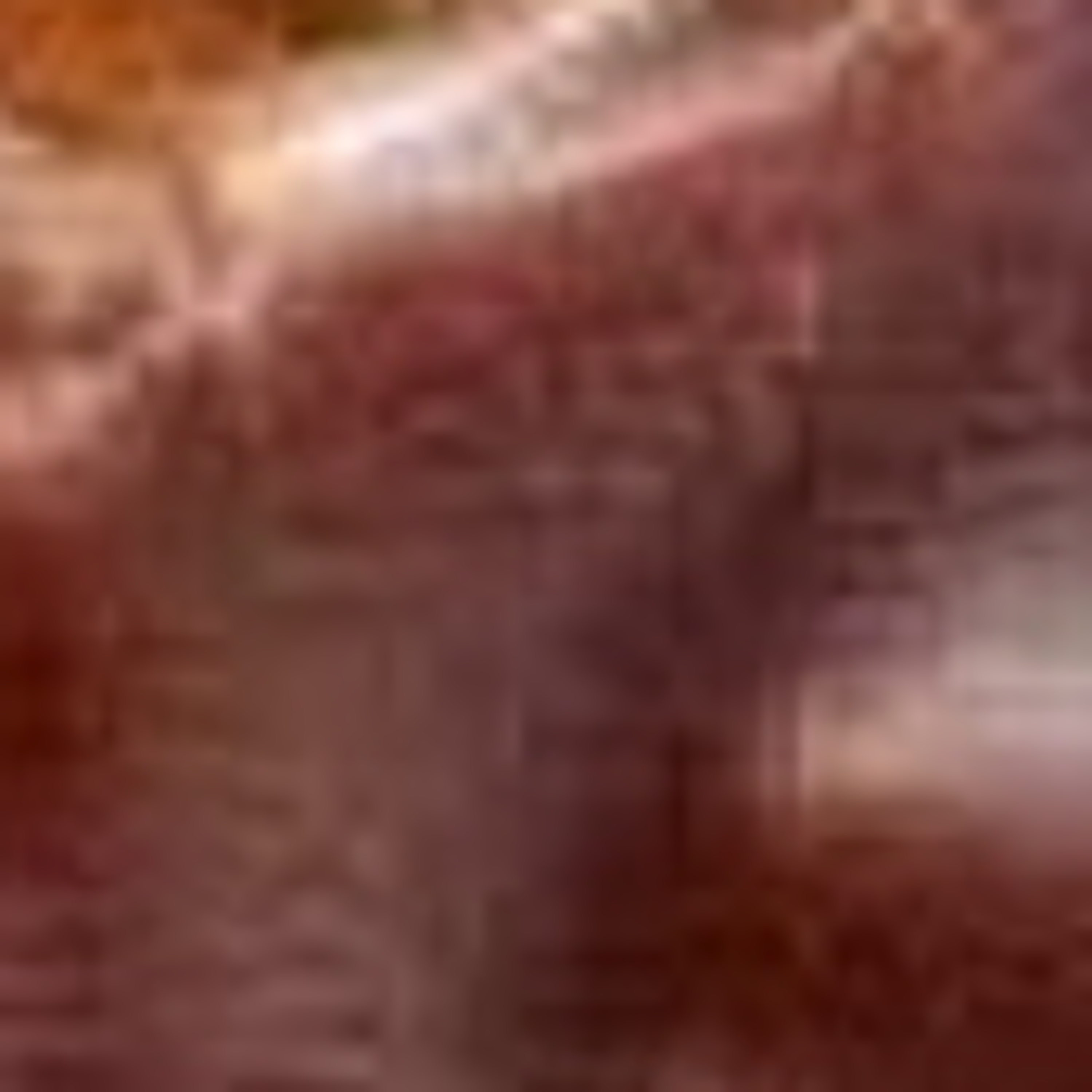 Last Donut of the Night