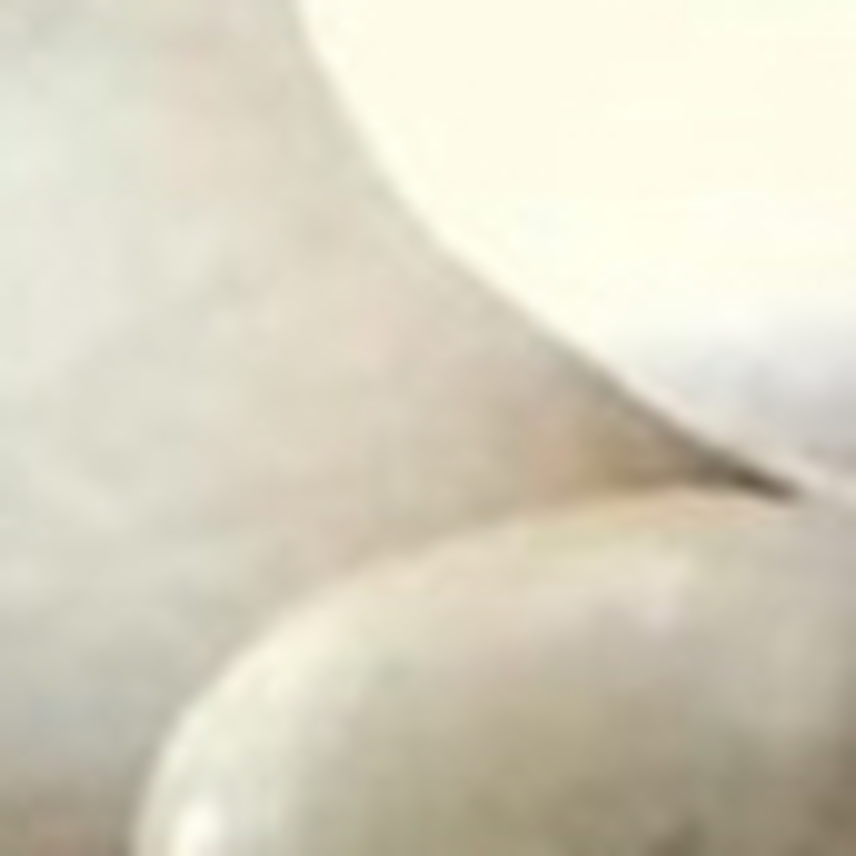 Last Donut of the Night