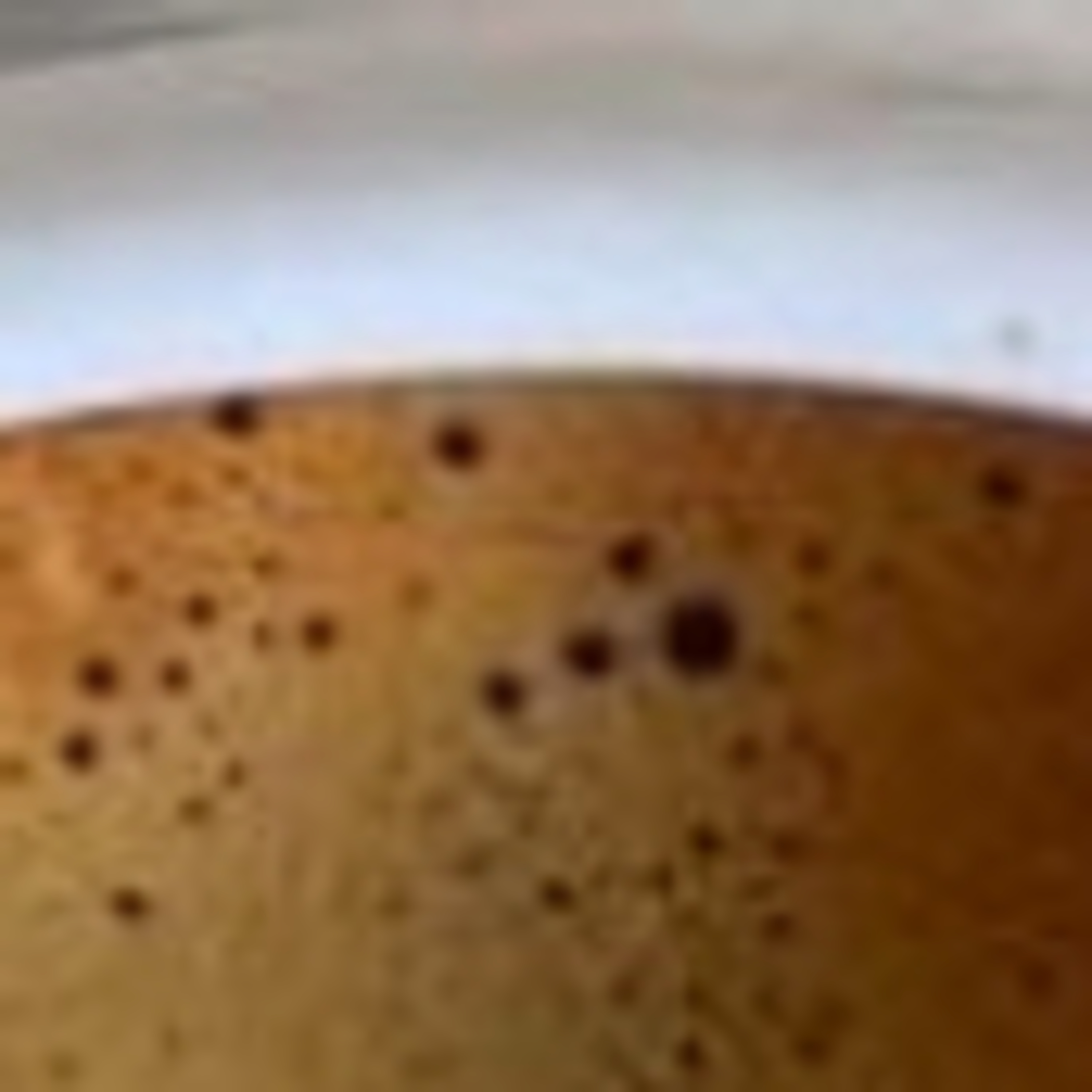 Last Donut of the Night