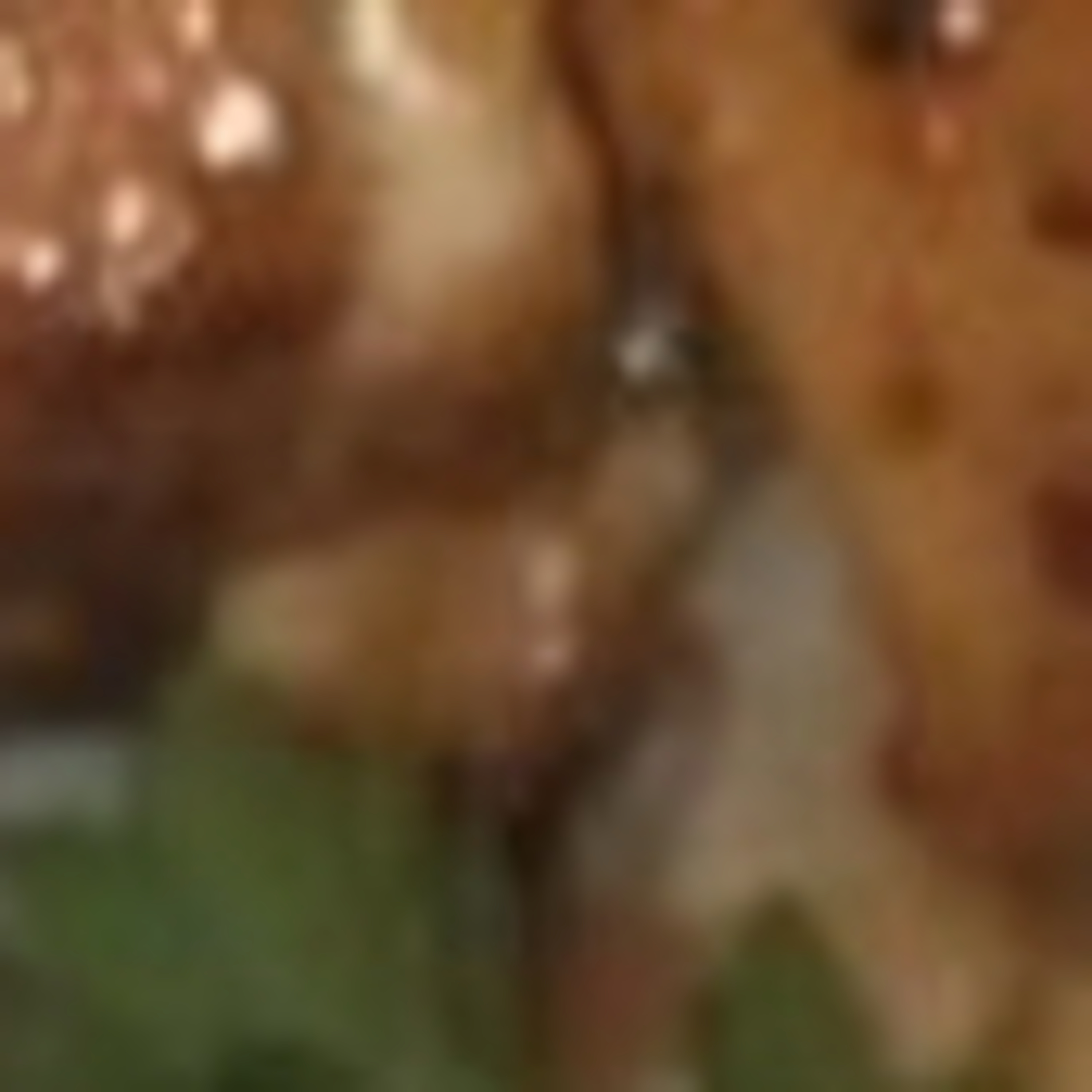 Last Donut of the Night