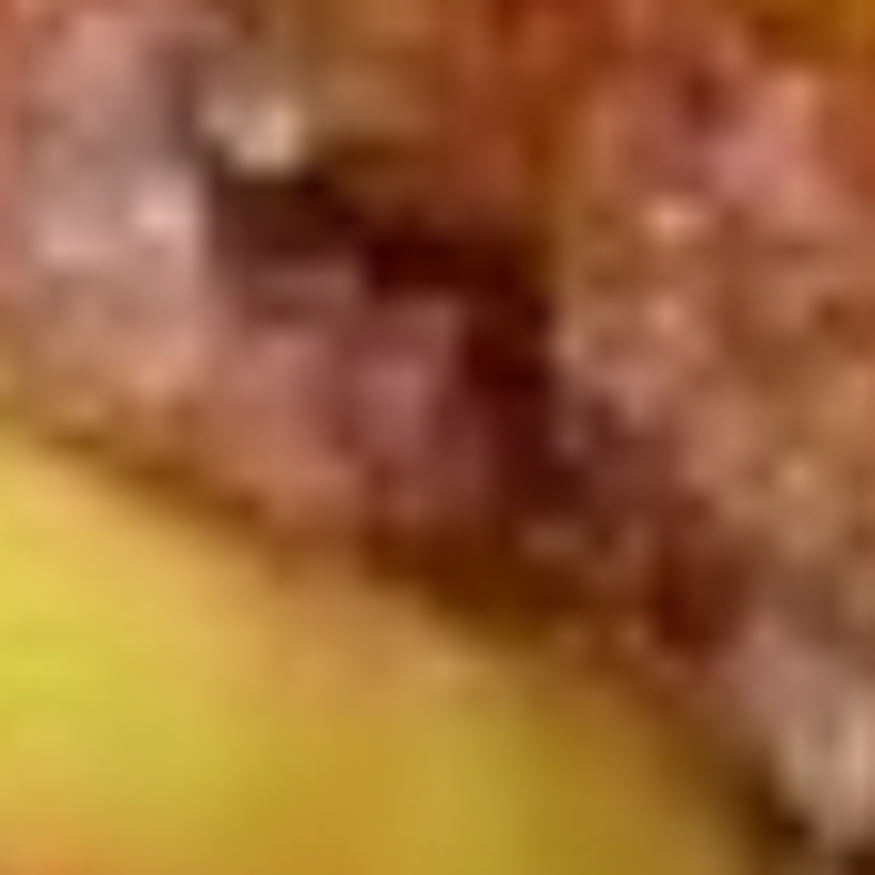 Last Donut of the Night