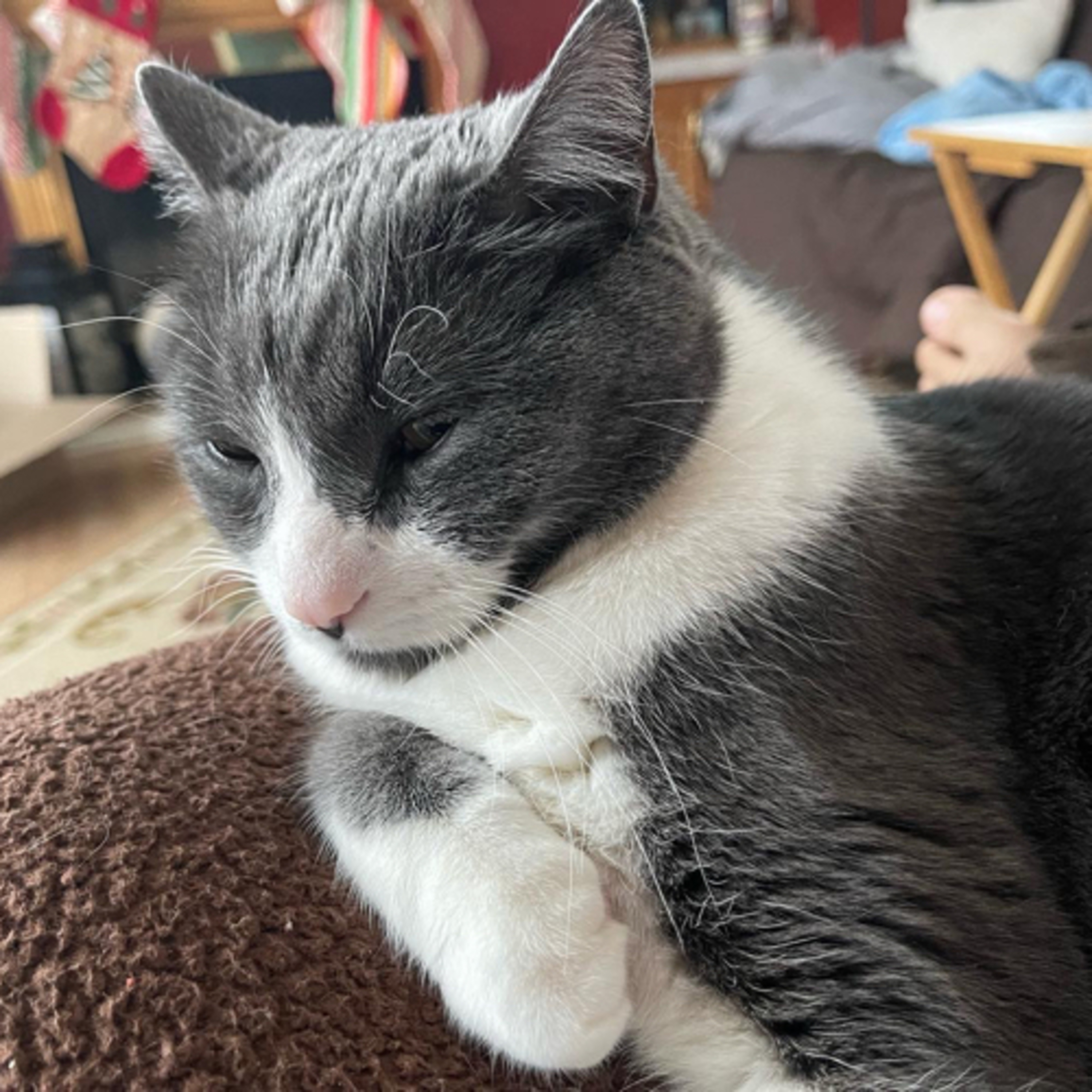 Last Donut of the Night