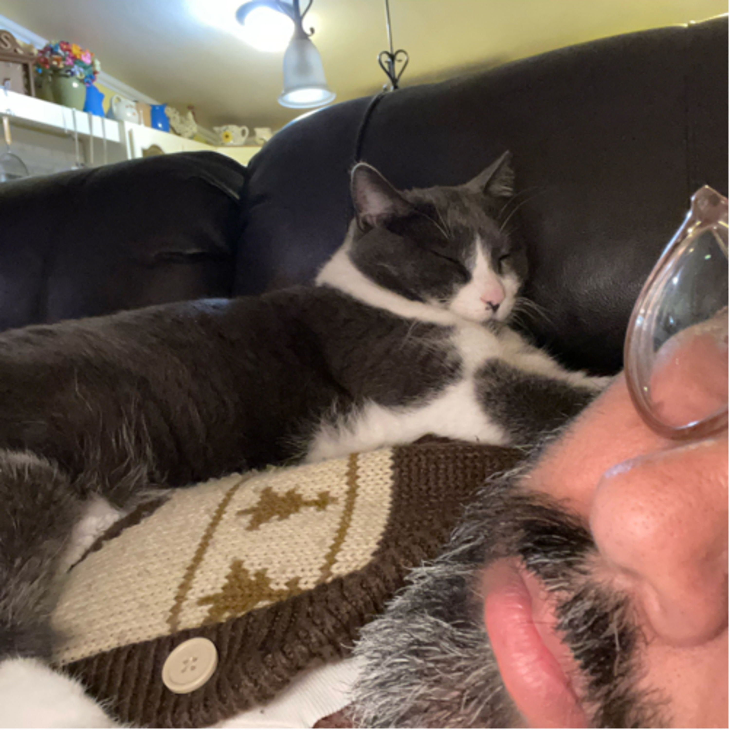 Last Donut of the Night