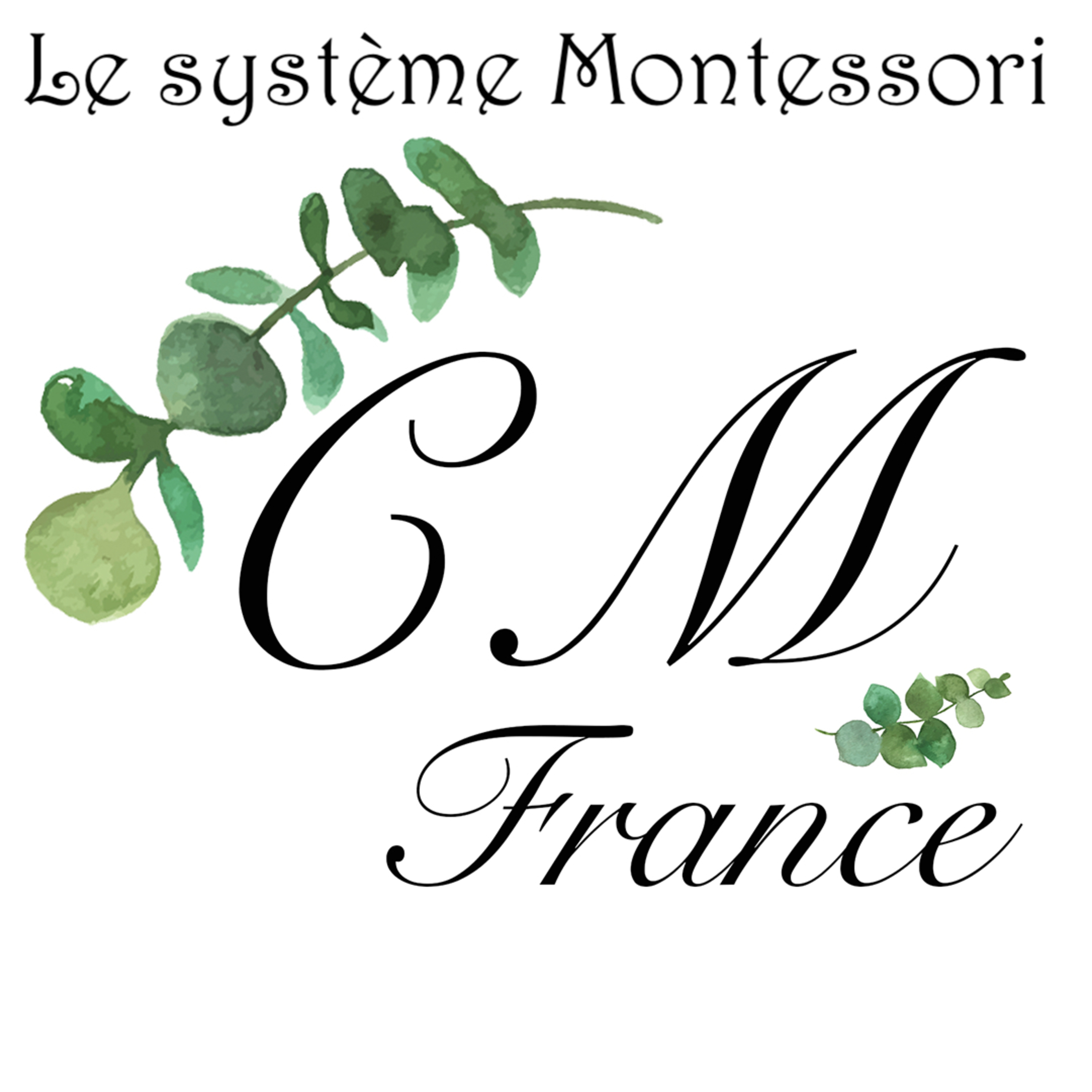 Le système Montessori