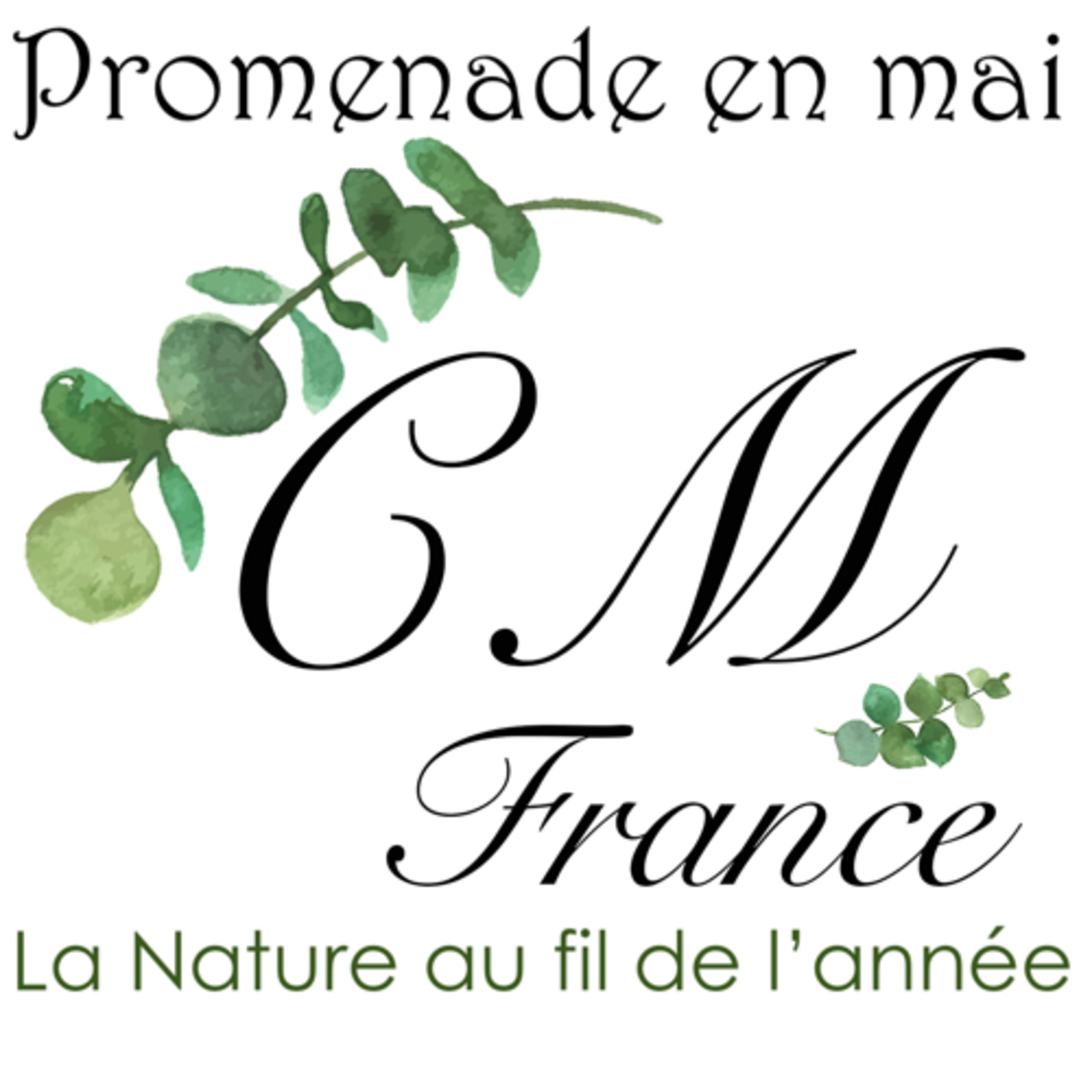 Promenade en mai