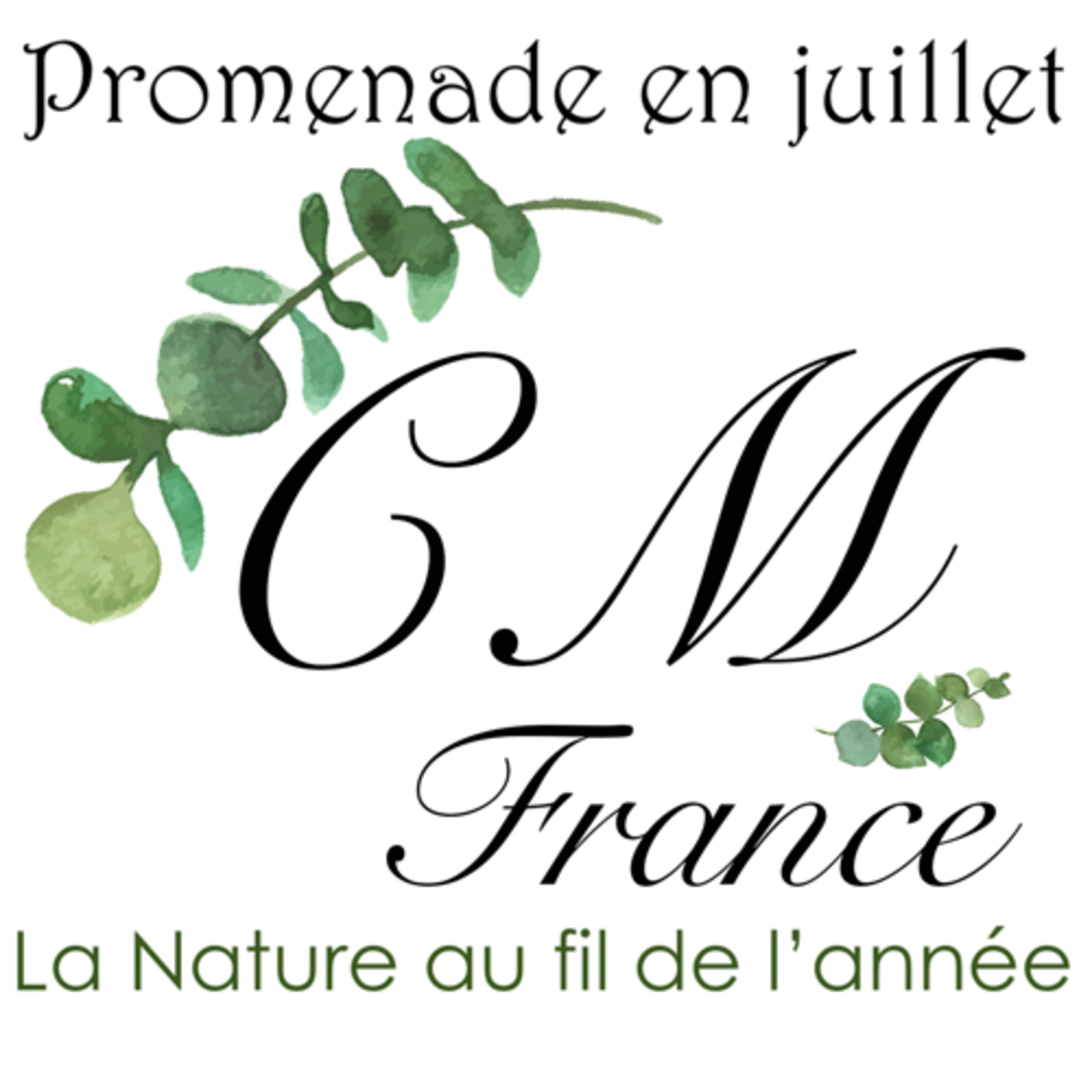 Promenade en juillet