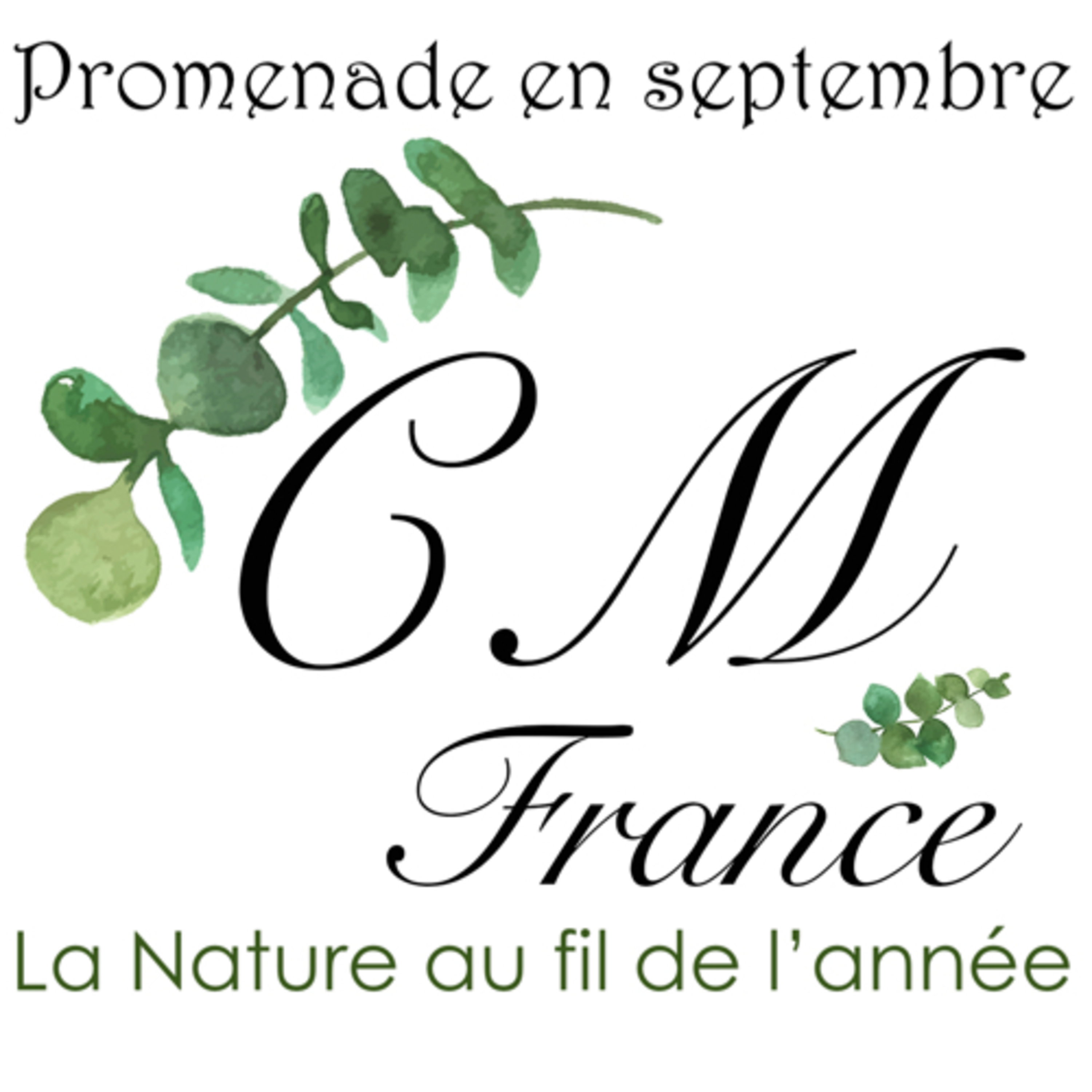 Promenade en septembre 