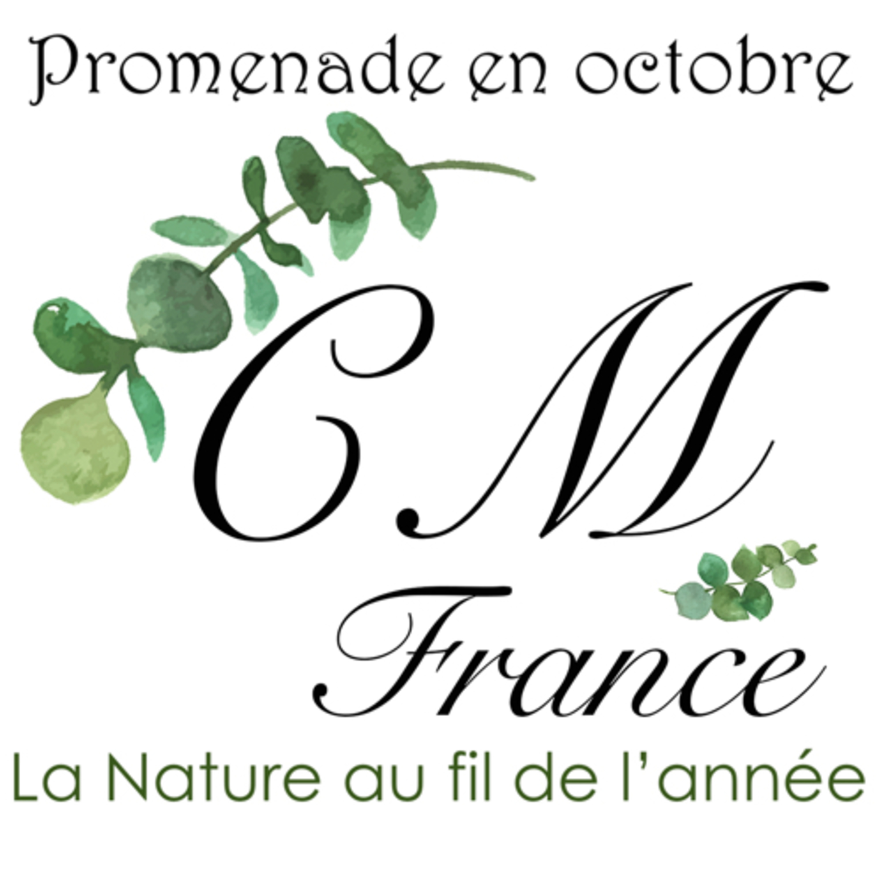 Promenade en octobre