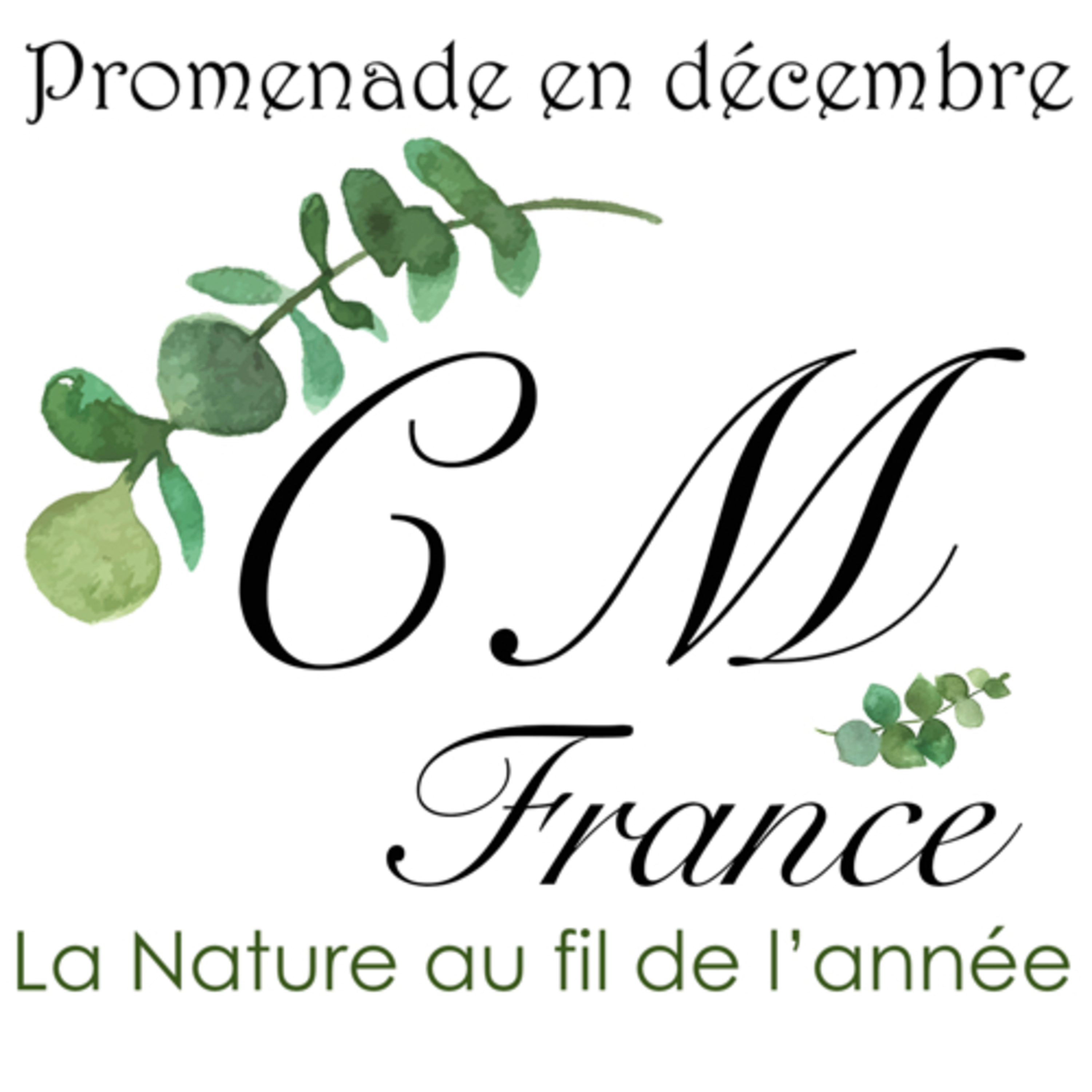 Promenade en décembre 