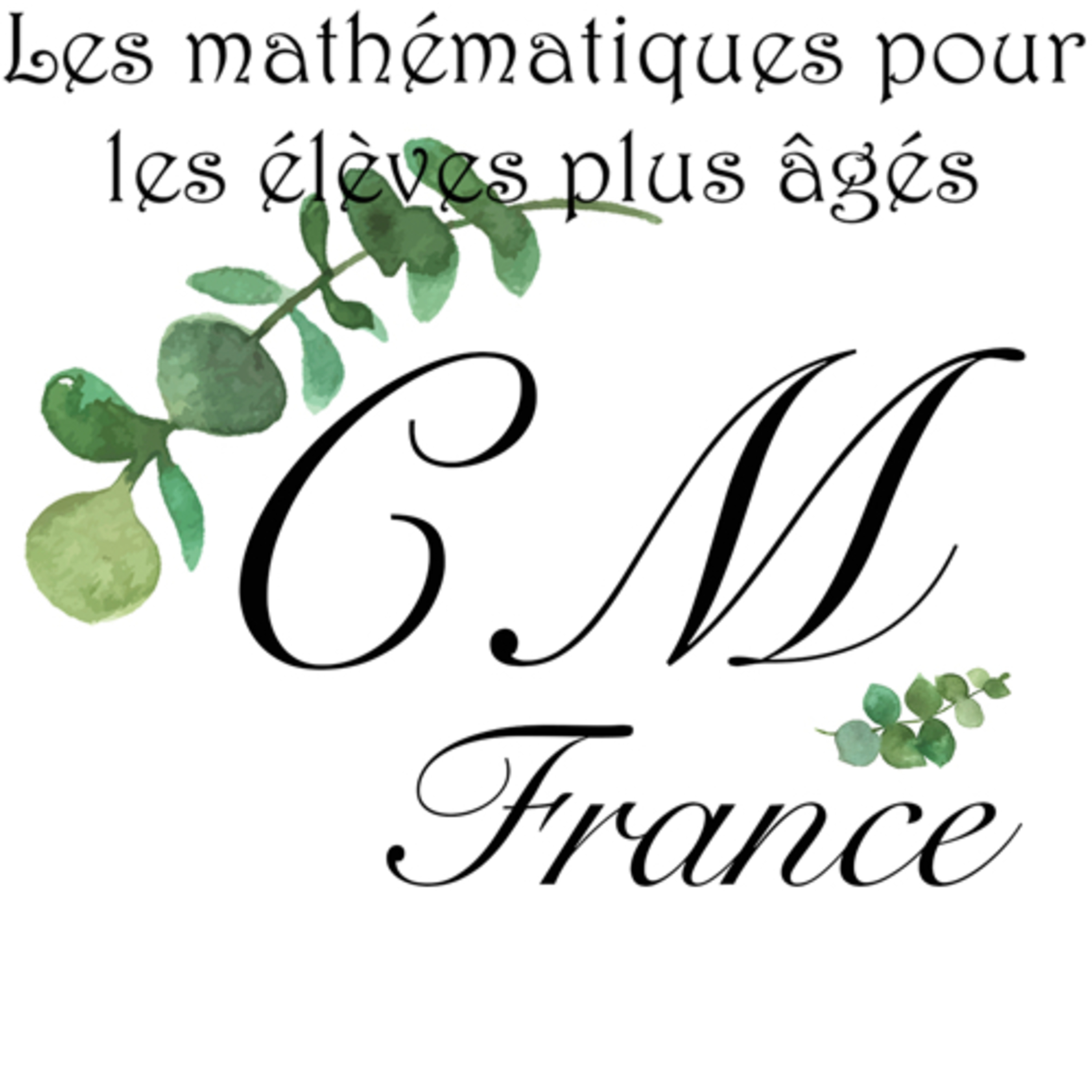 Les mathématiques pour les élèves plus âgés 