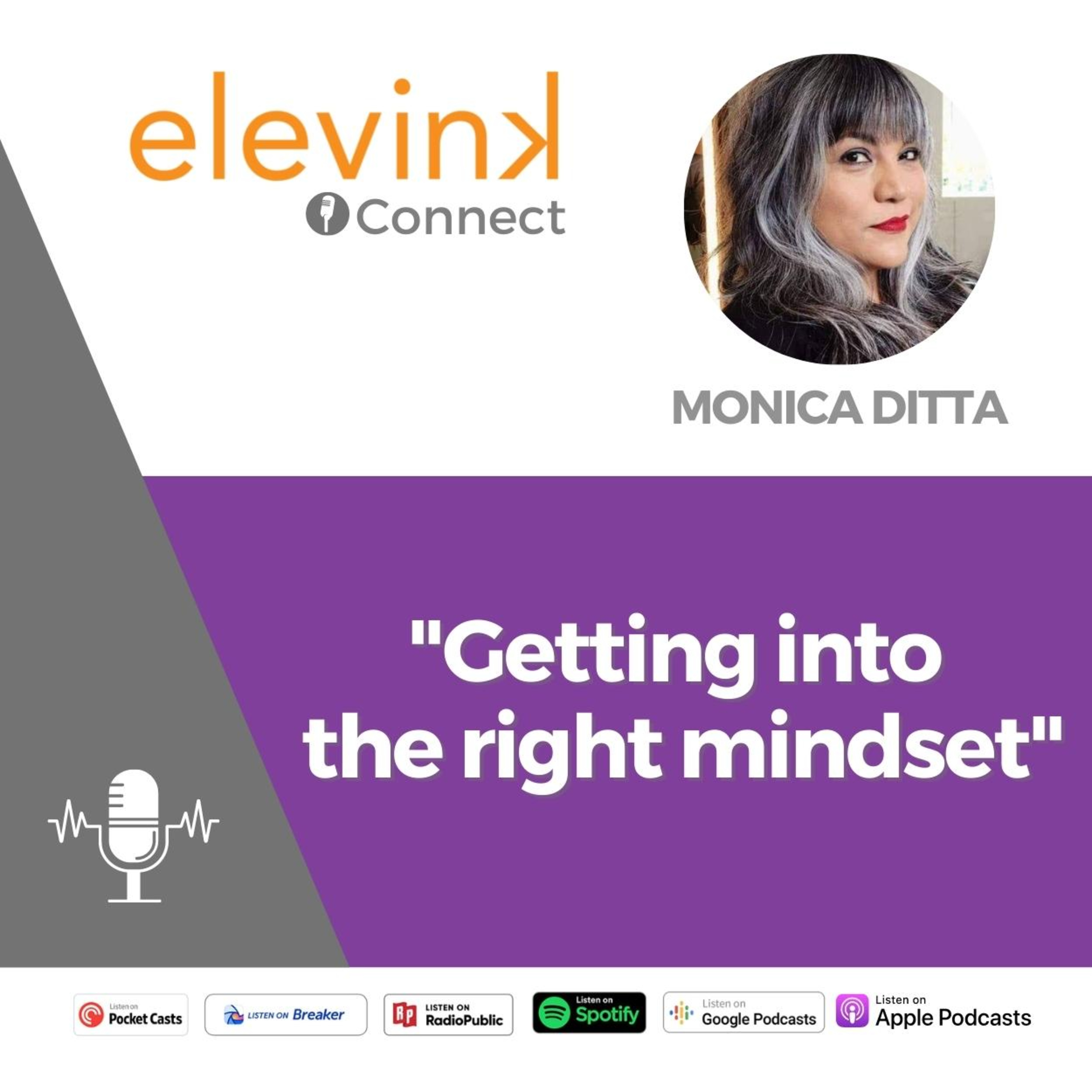 elevink Connect