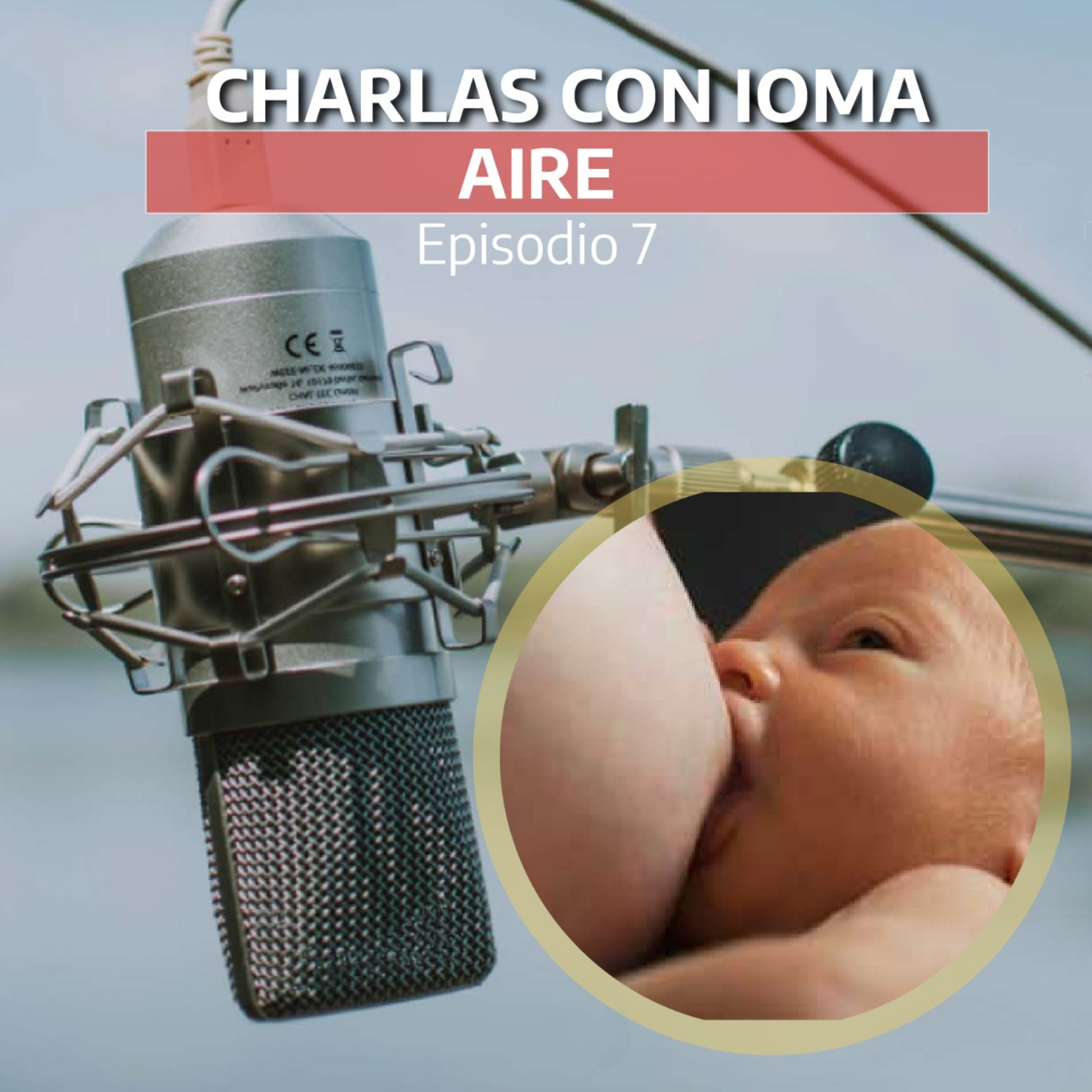 Charlas con IOMA
