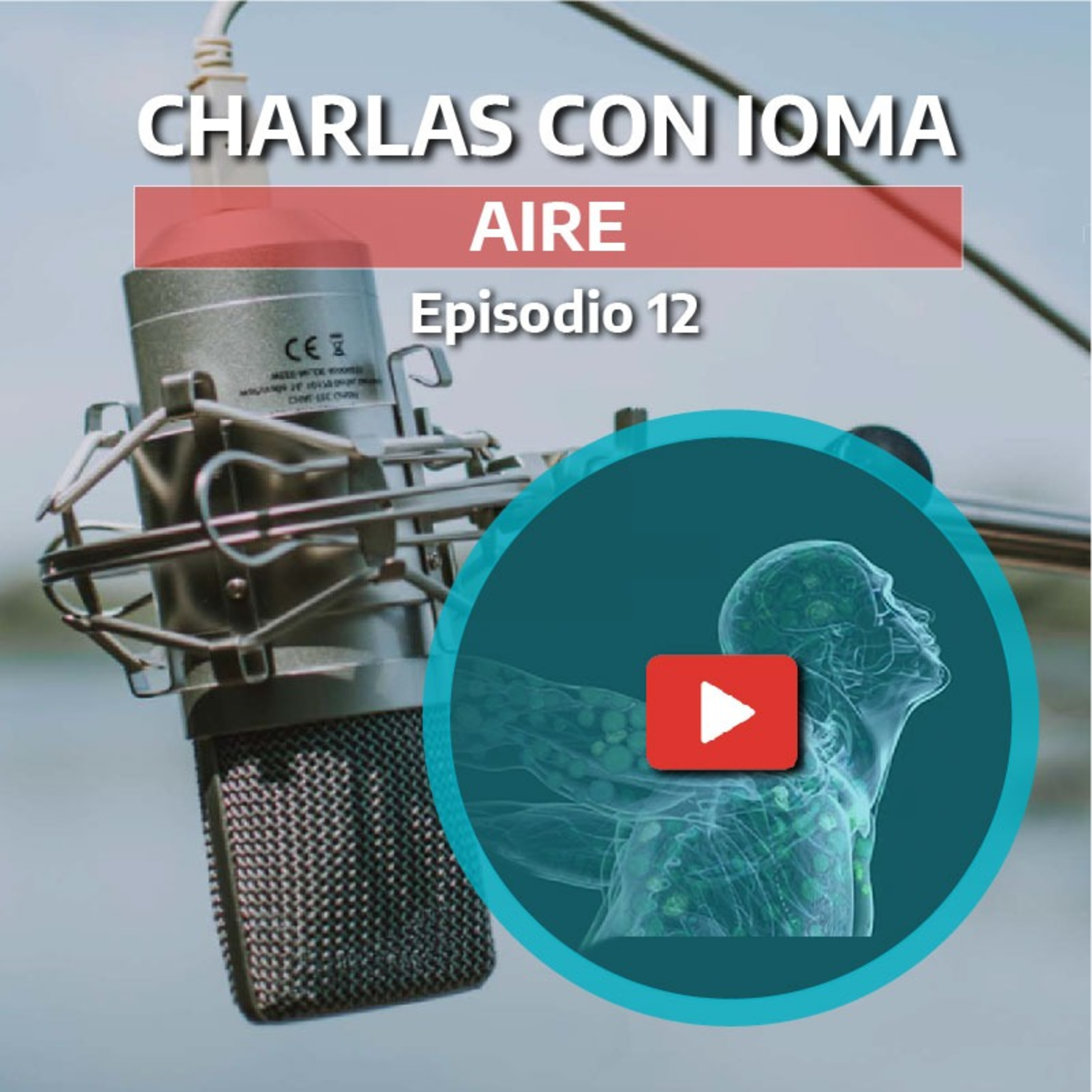 Charlas con IOMA