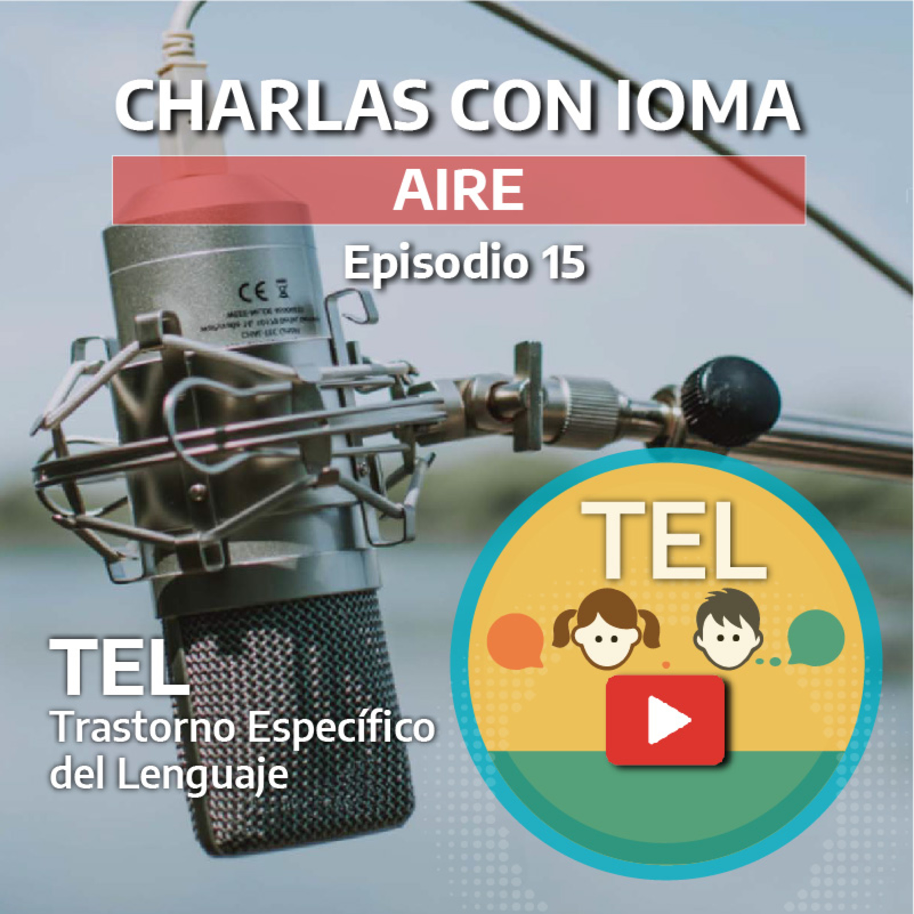 Charlas con IOMA