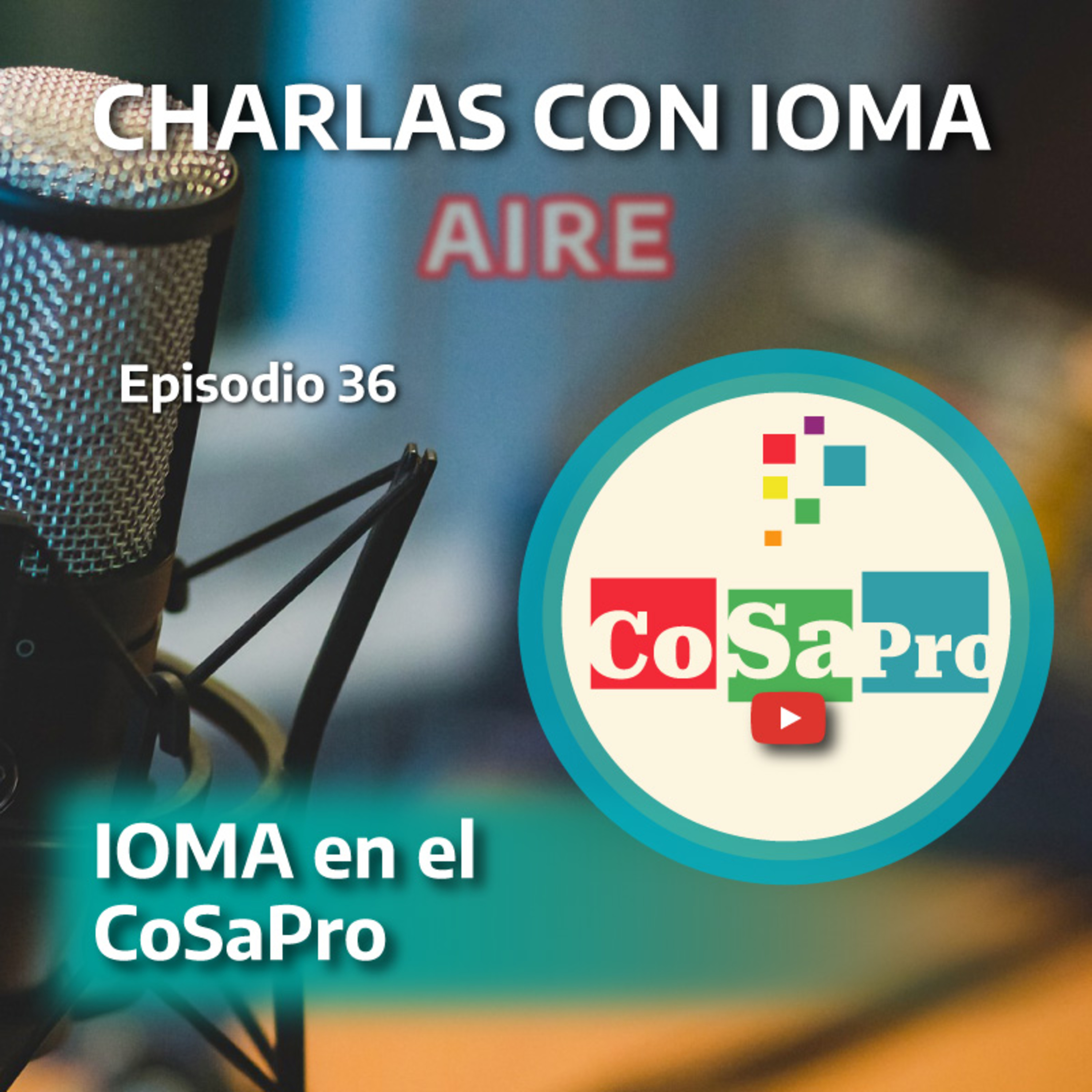 Charlas con IOMA