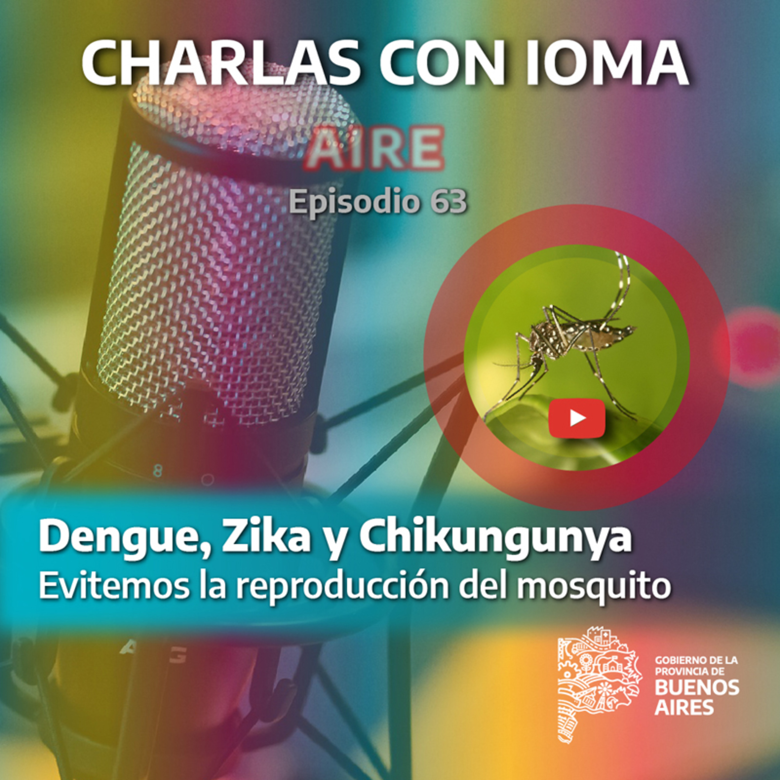 Charlas con IOMA