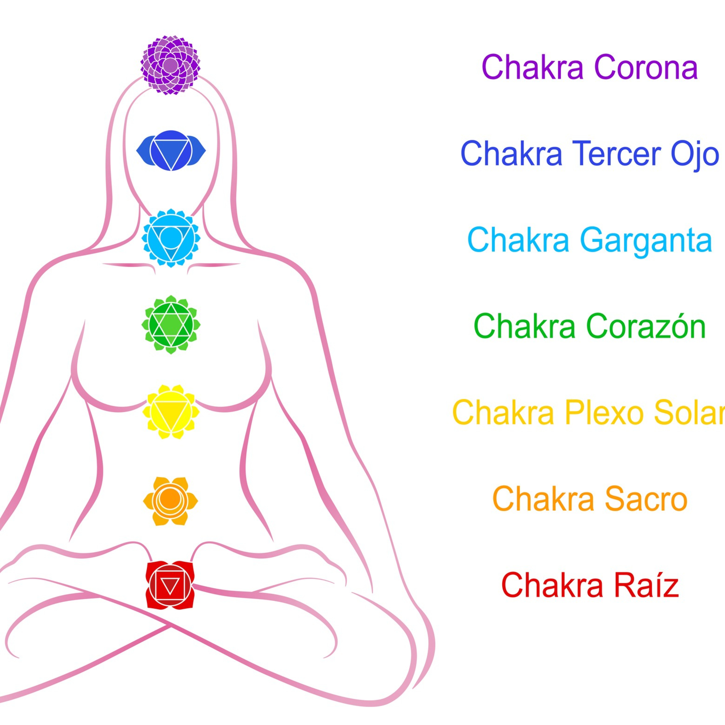 7 chakras