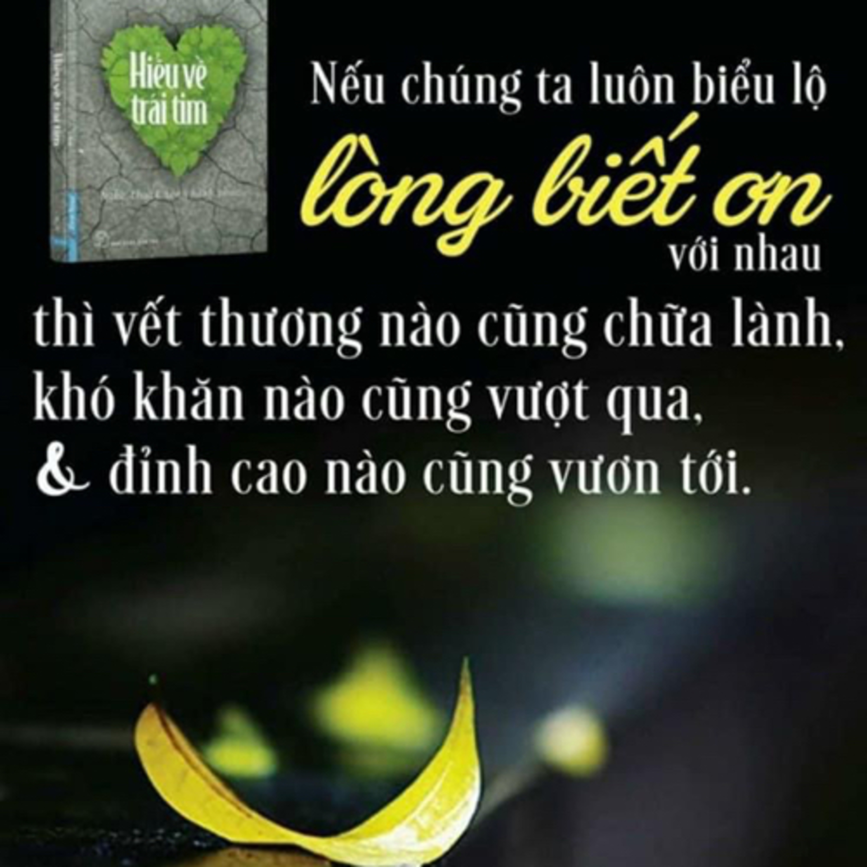 Bụi Phép Màu episode artwork