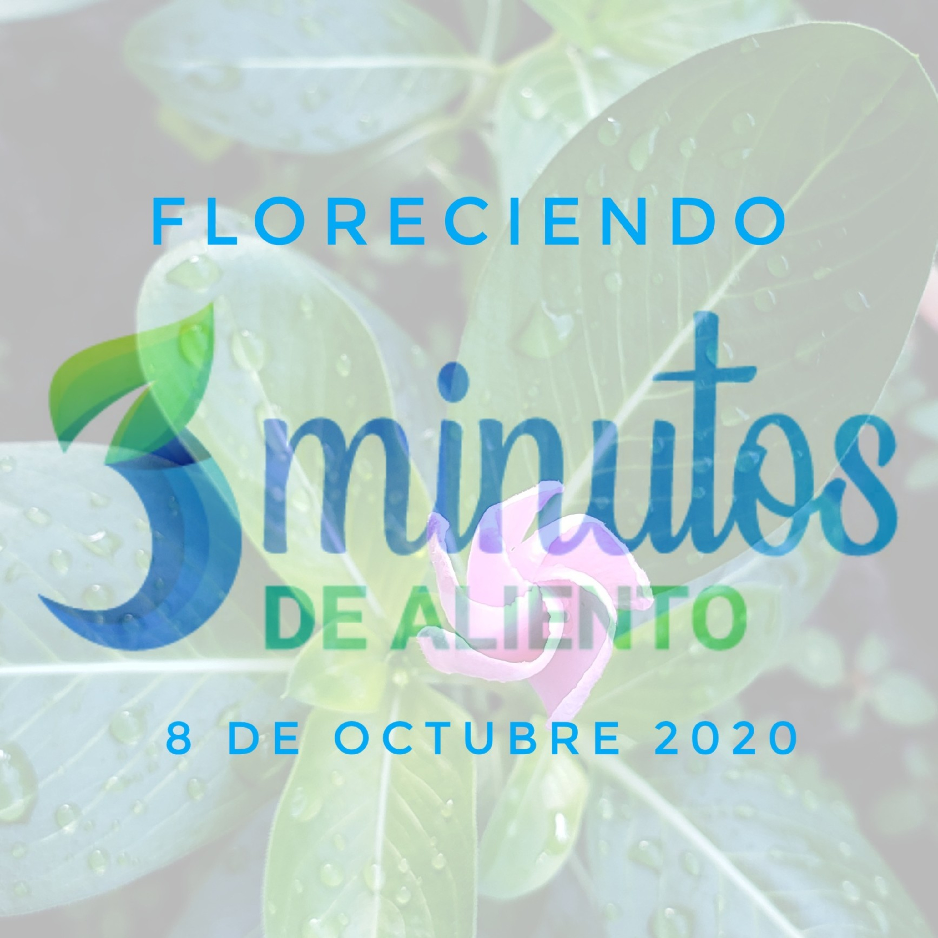 LO QUE CULTIVAS FLORECERÁ episode artwork